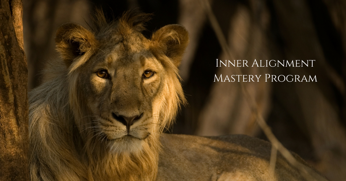 Inner Alignment Mastery Program.png