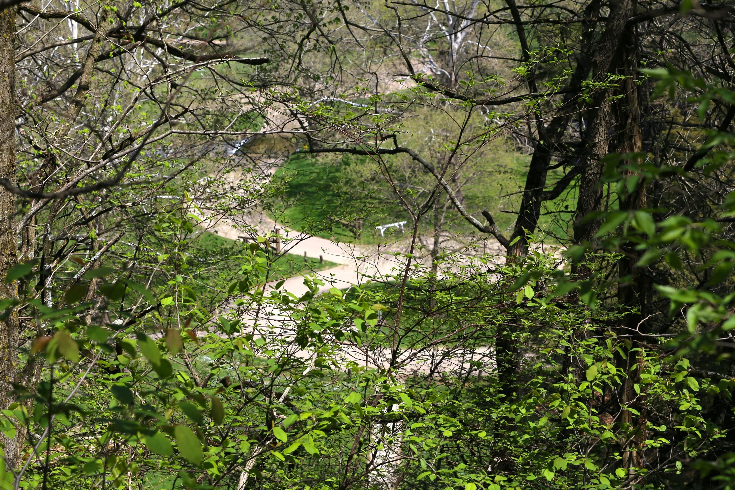 IMG_8907.JPG
