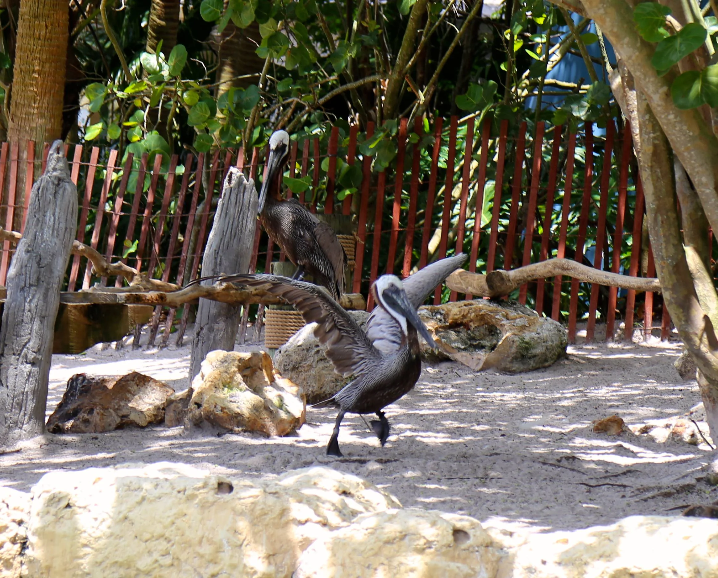 IMG_9270.JPG
