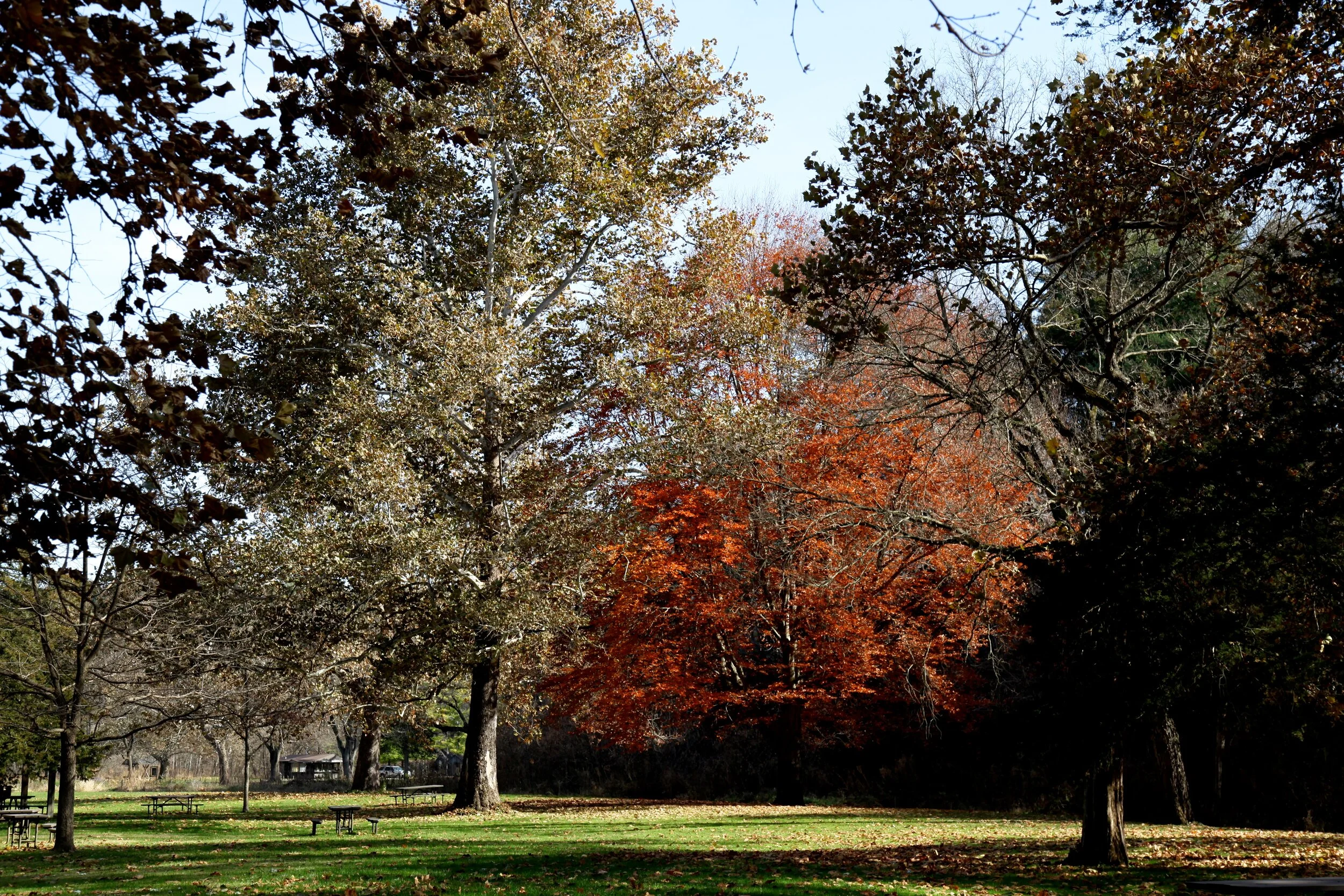 IMG_9691.JPG