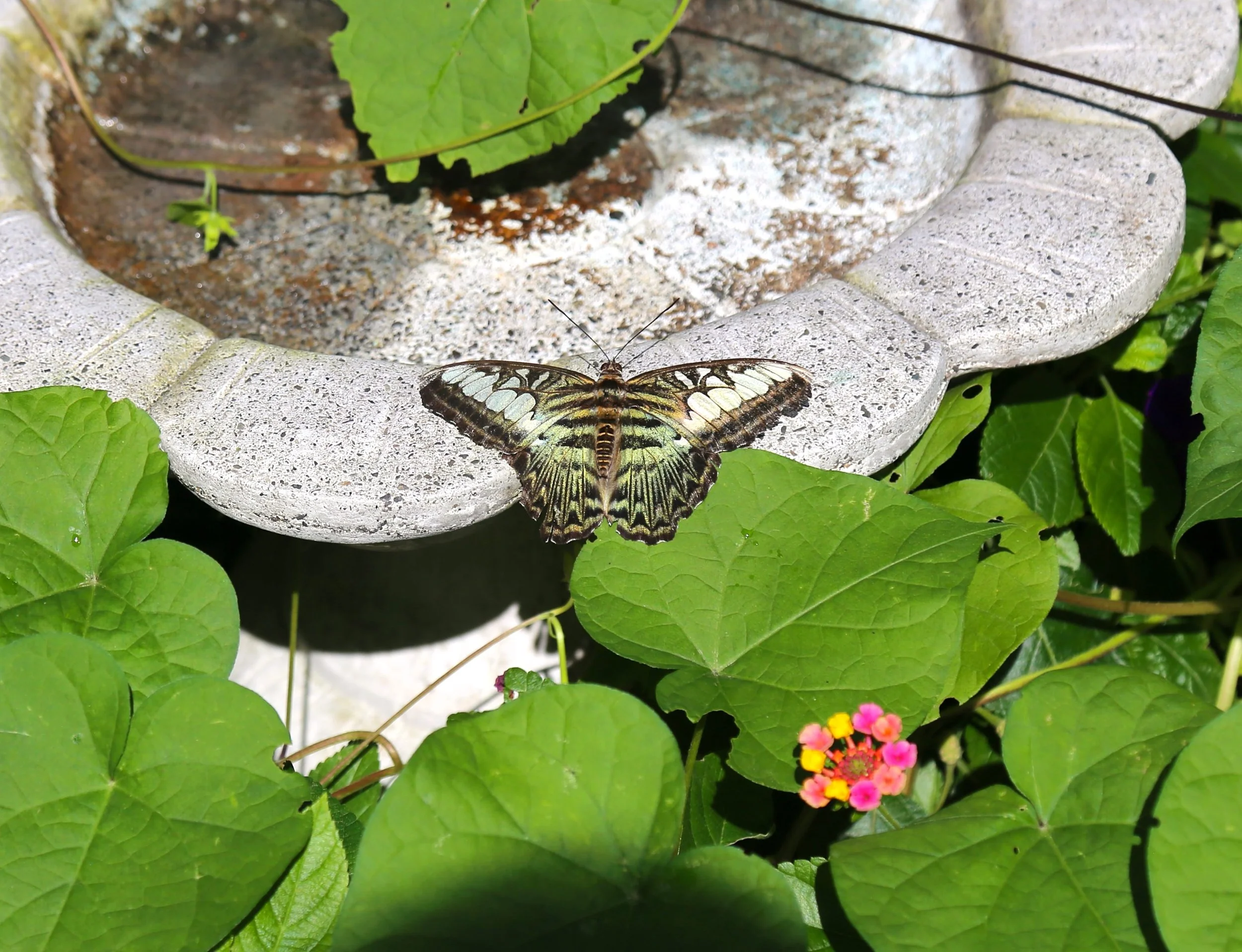 IMG_8328.JPG