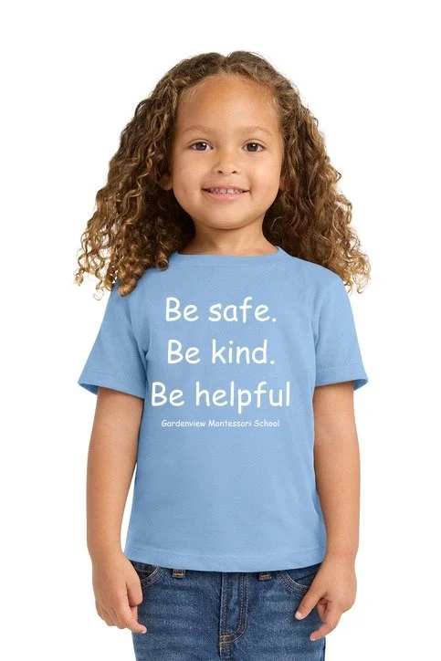 toddler_tee_light_blue rules.jpg