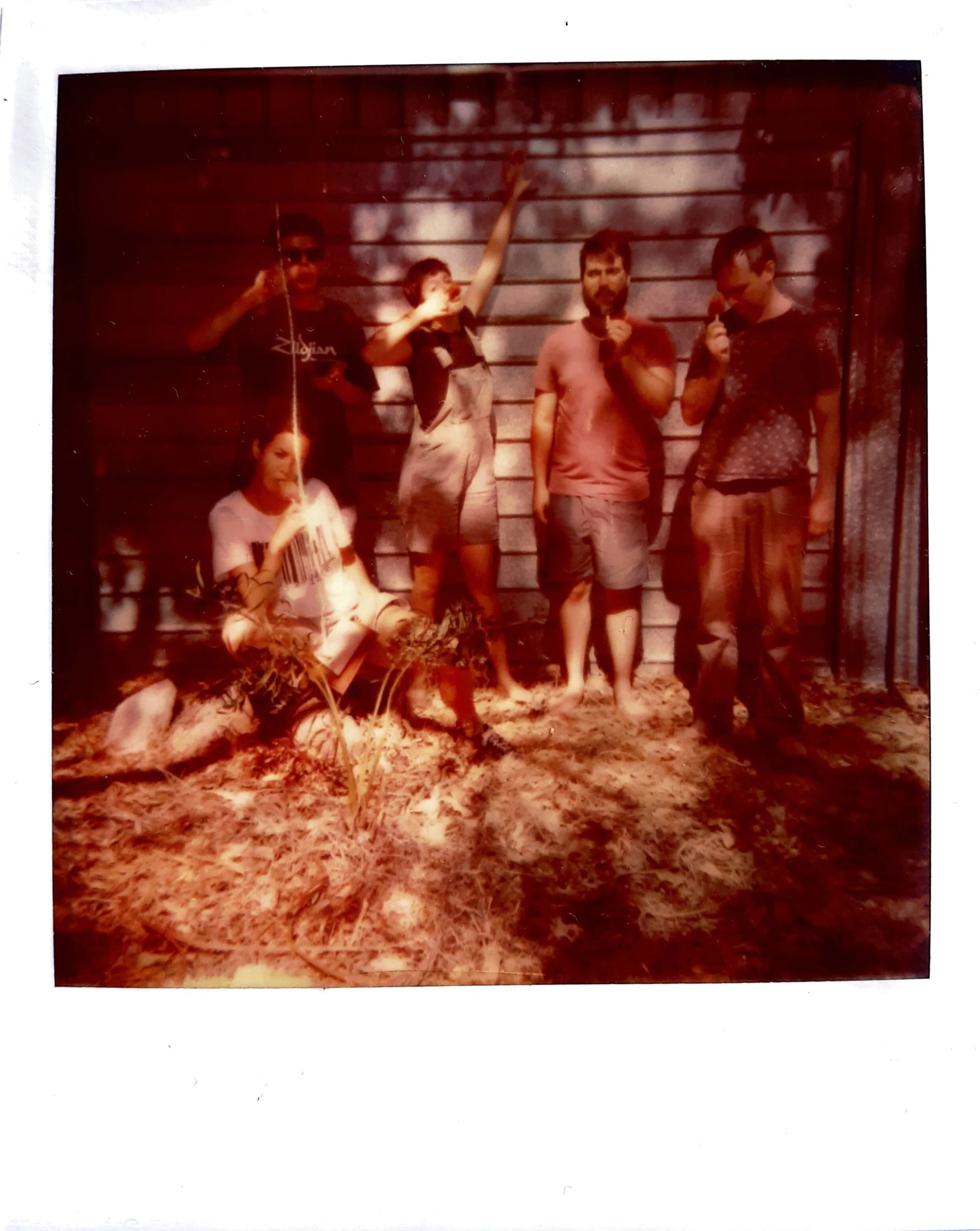 FirstPola.jpg