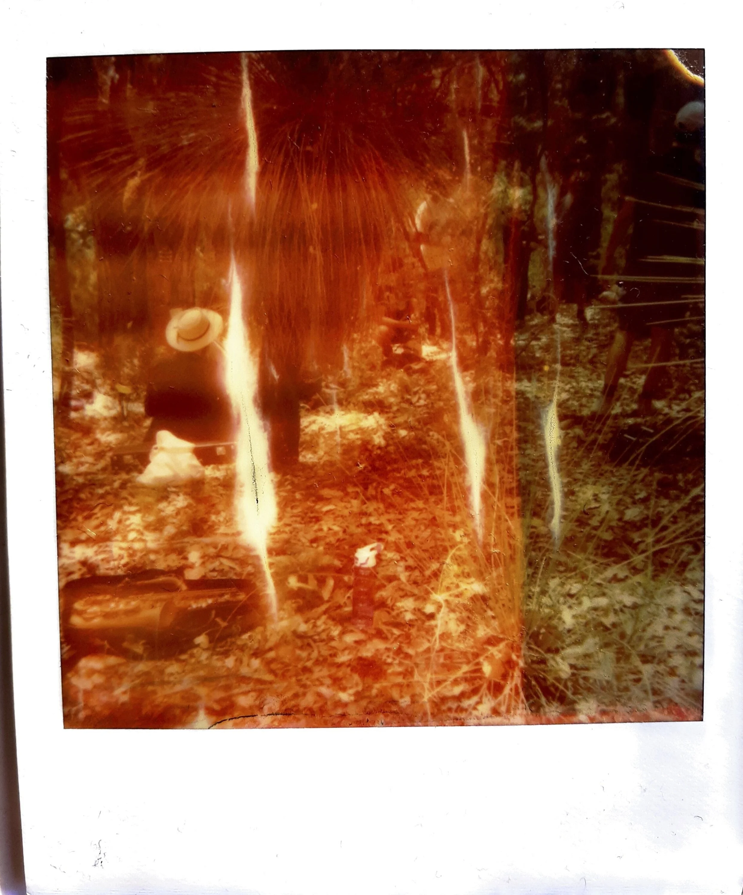 Scan Balga.jpg