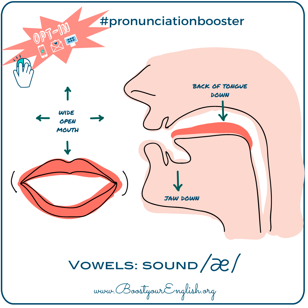 Difference Between Ae And E