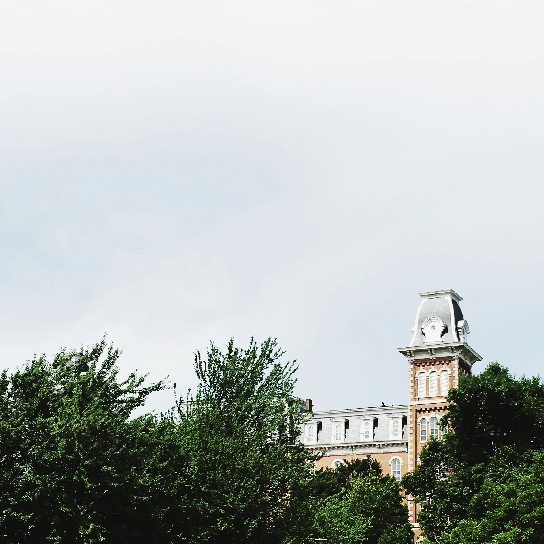 Old Main. And trees bein' trees.