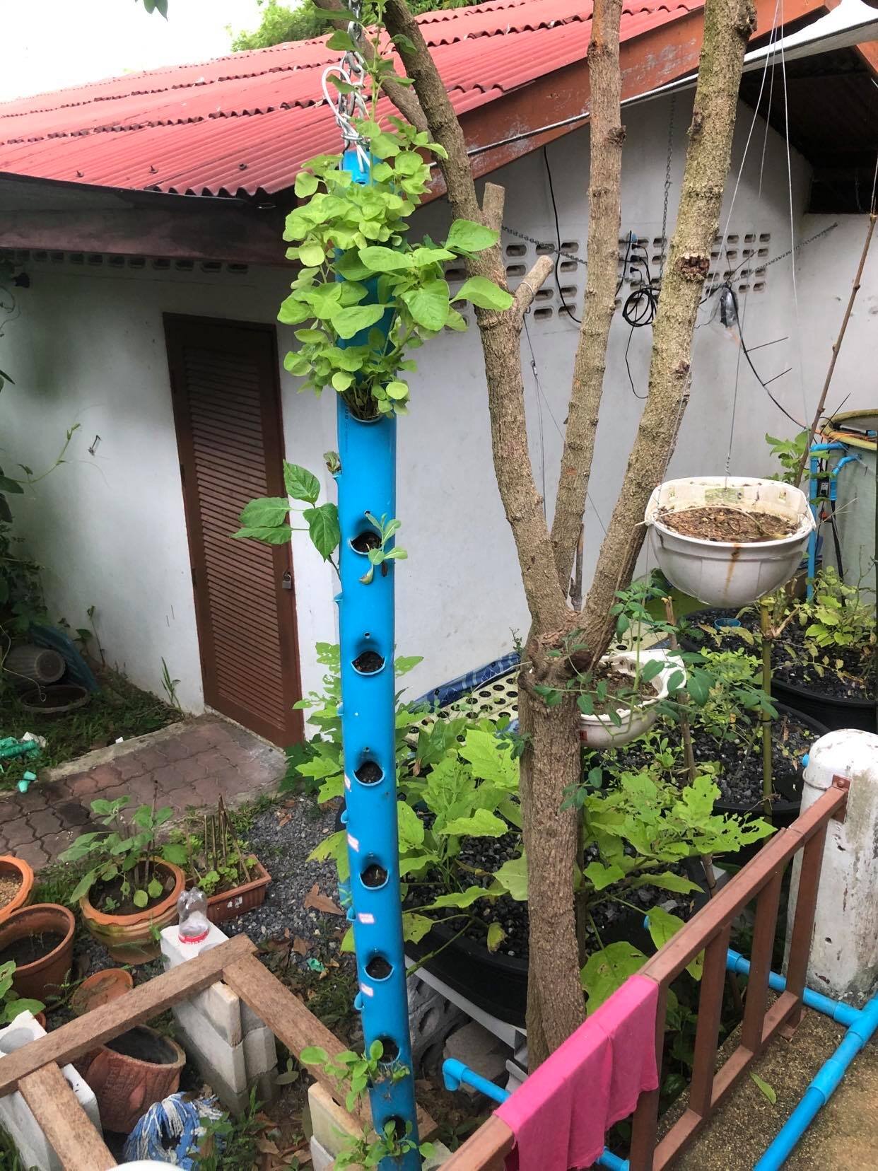 Original Testing Vertical Grow bed Tower Planter Thailand 