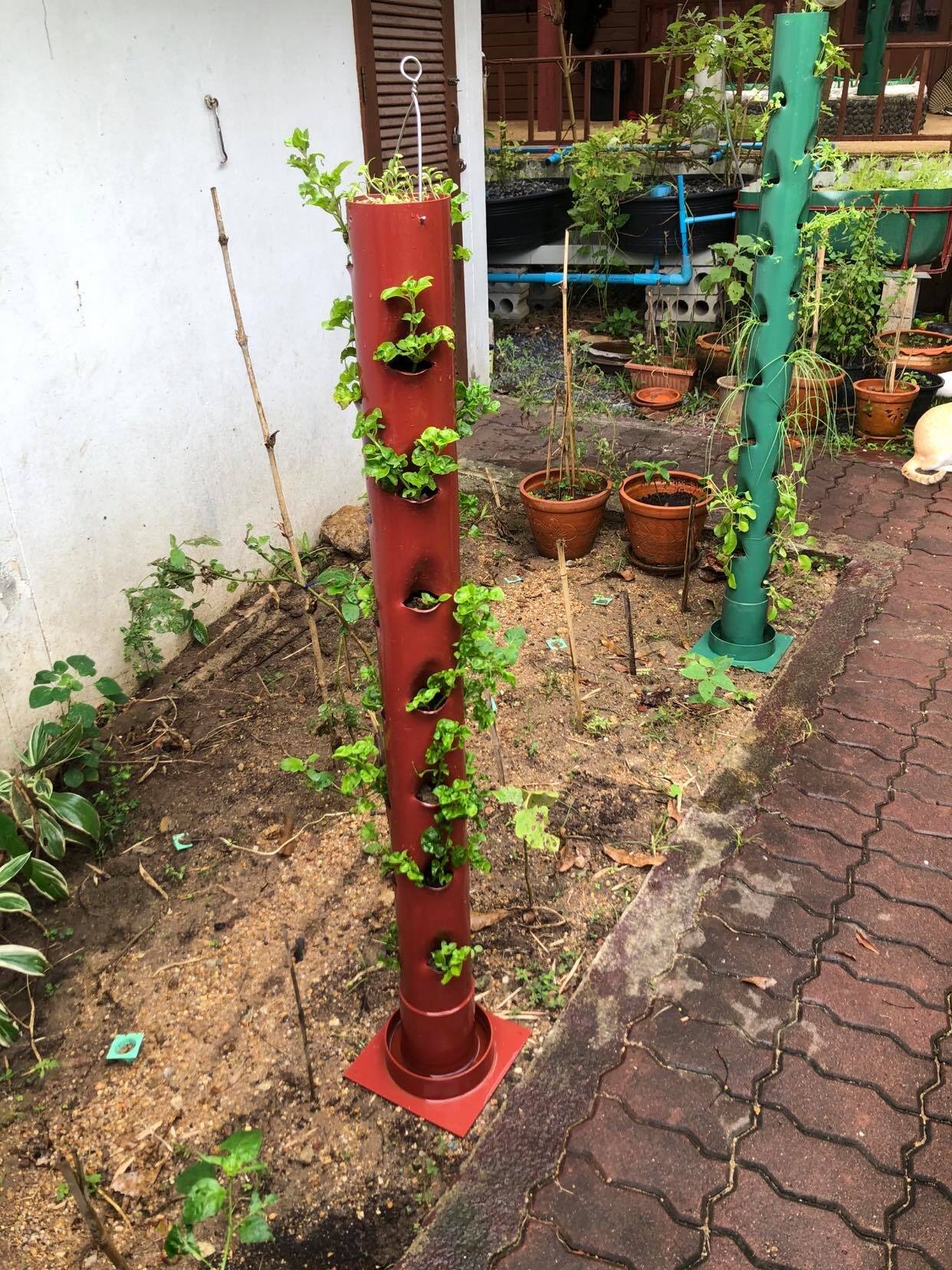 Vertical grow towers Thailand