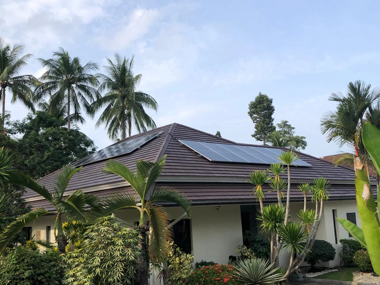 WhatsApp Image 2024-08-08 at 15.14.14_12f0bc7c.jpg