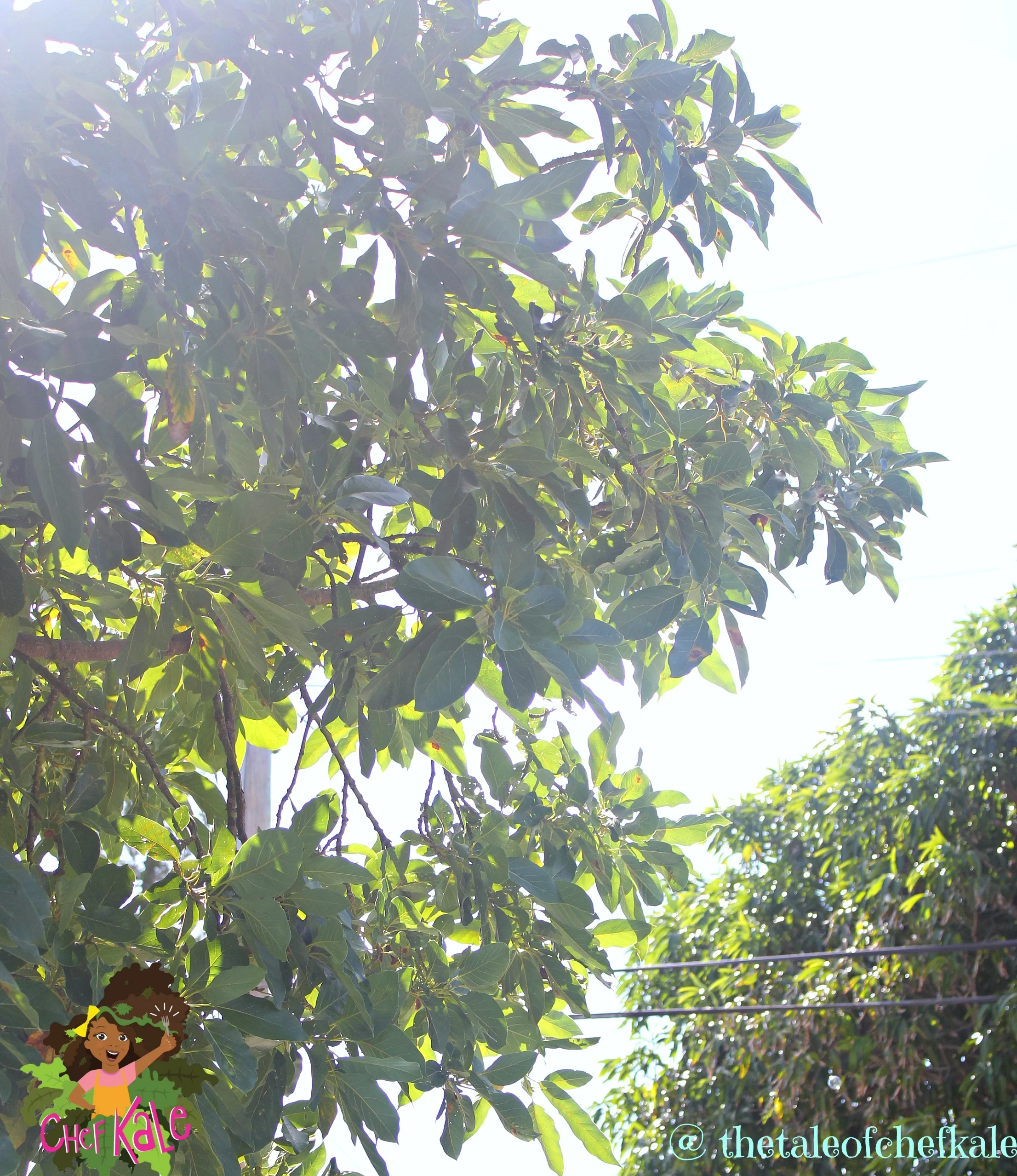 I want to grow out loud like a big, tall tree.