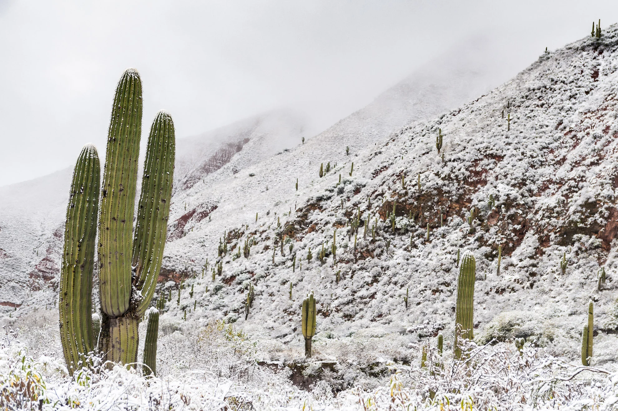 20140523_School_Web Design_Project 2_130.jpg