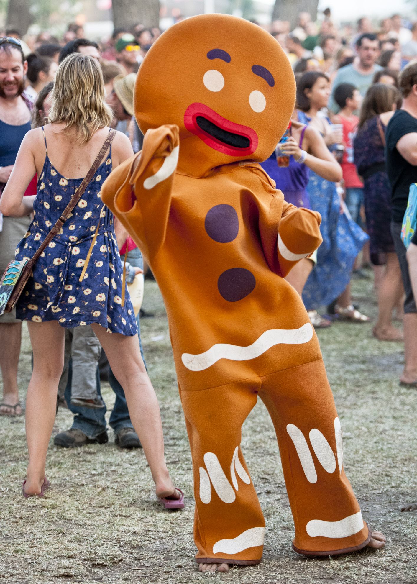 Meredith Music Festival, Meredith