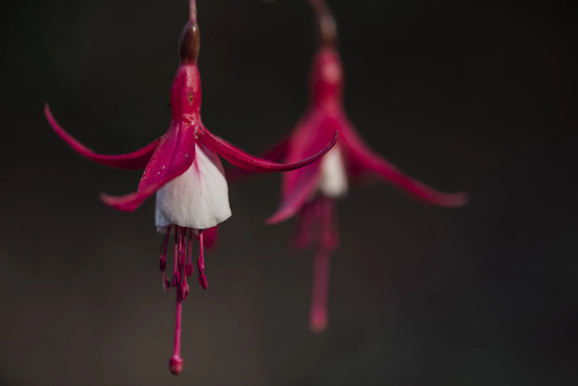 20150517_School_Web Design_Project 2_0002.jpg