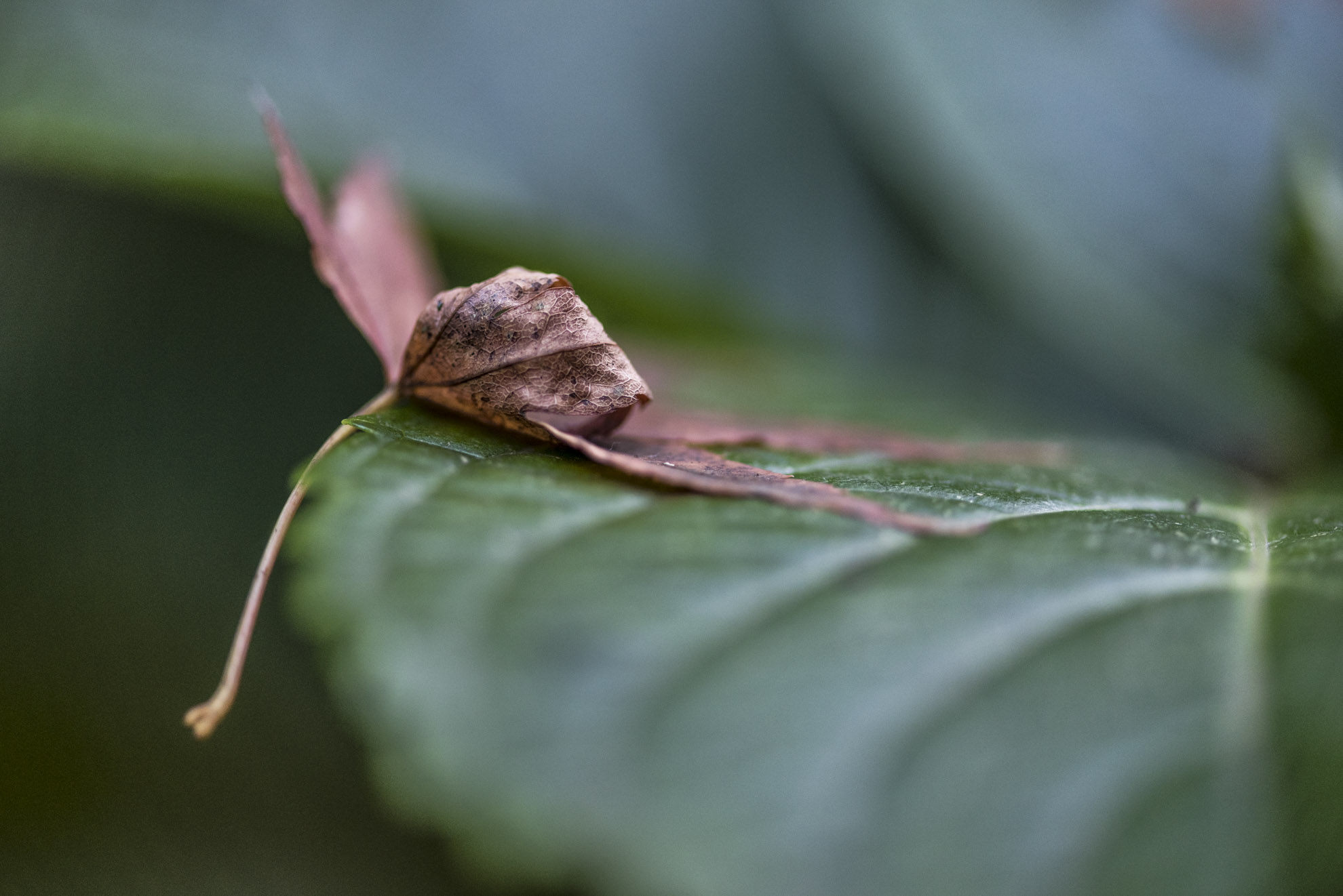 20150517_School_Web Design_Project 2_0004-2.jpg