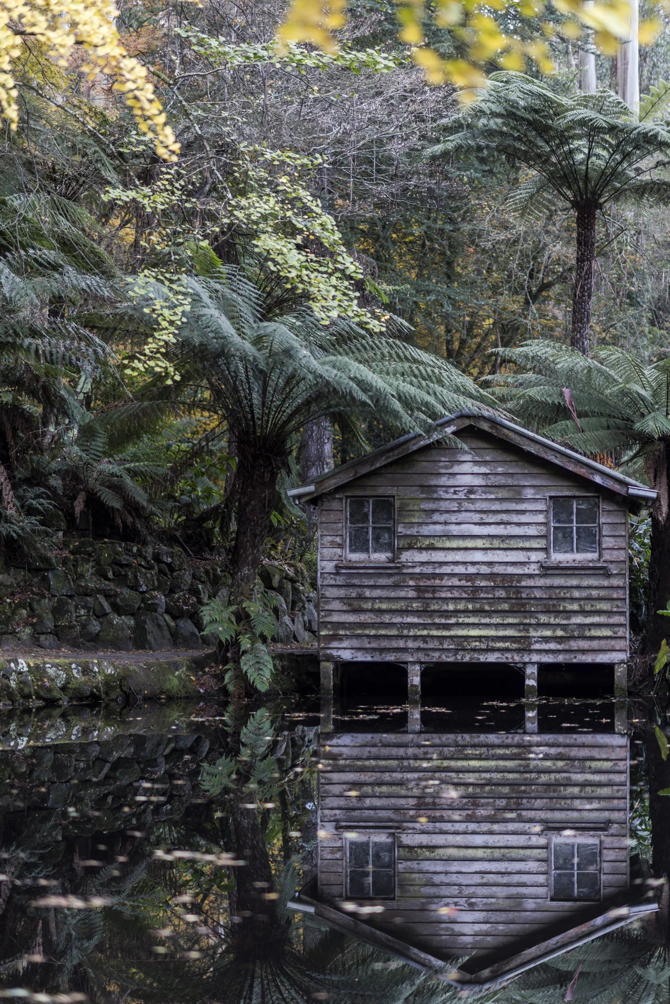 20150517_School_Web Design_Project 2_0005-2.jpg