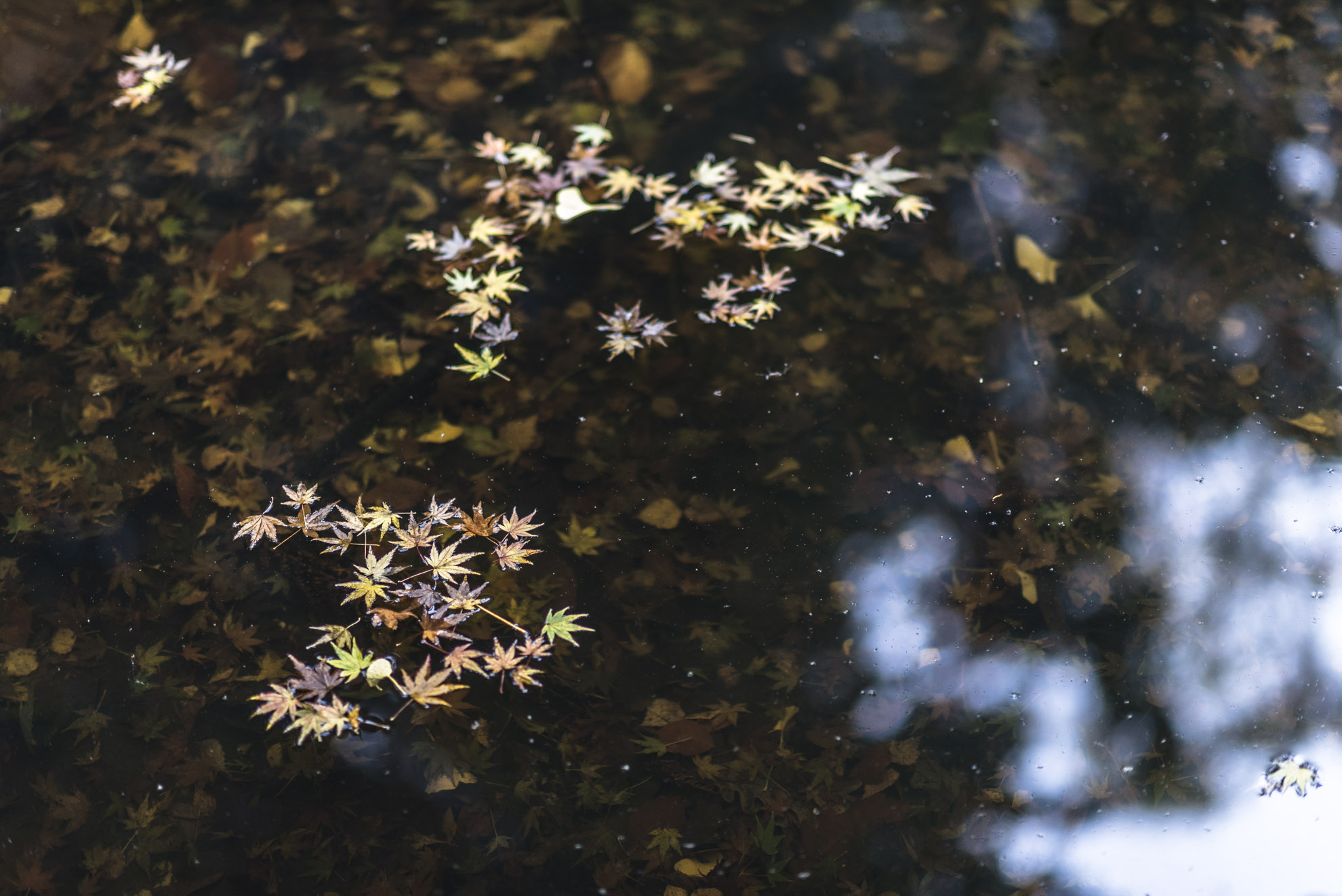 20150517_School_Web Design_Project 2_0006.jpg