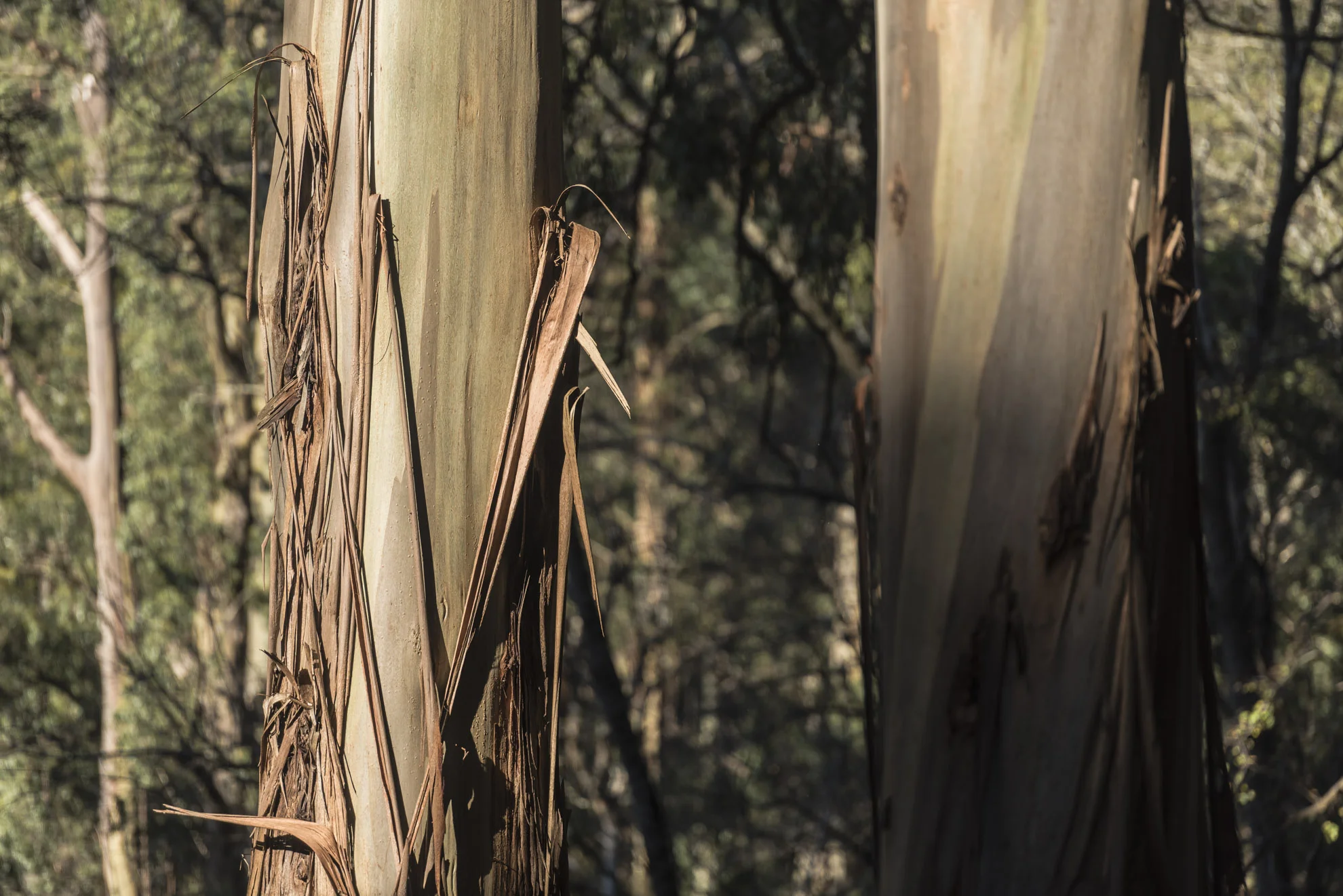 20150517_School_Web Design_Project 2_291.jpg