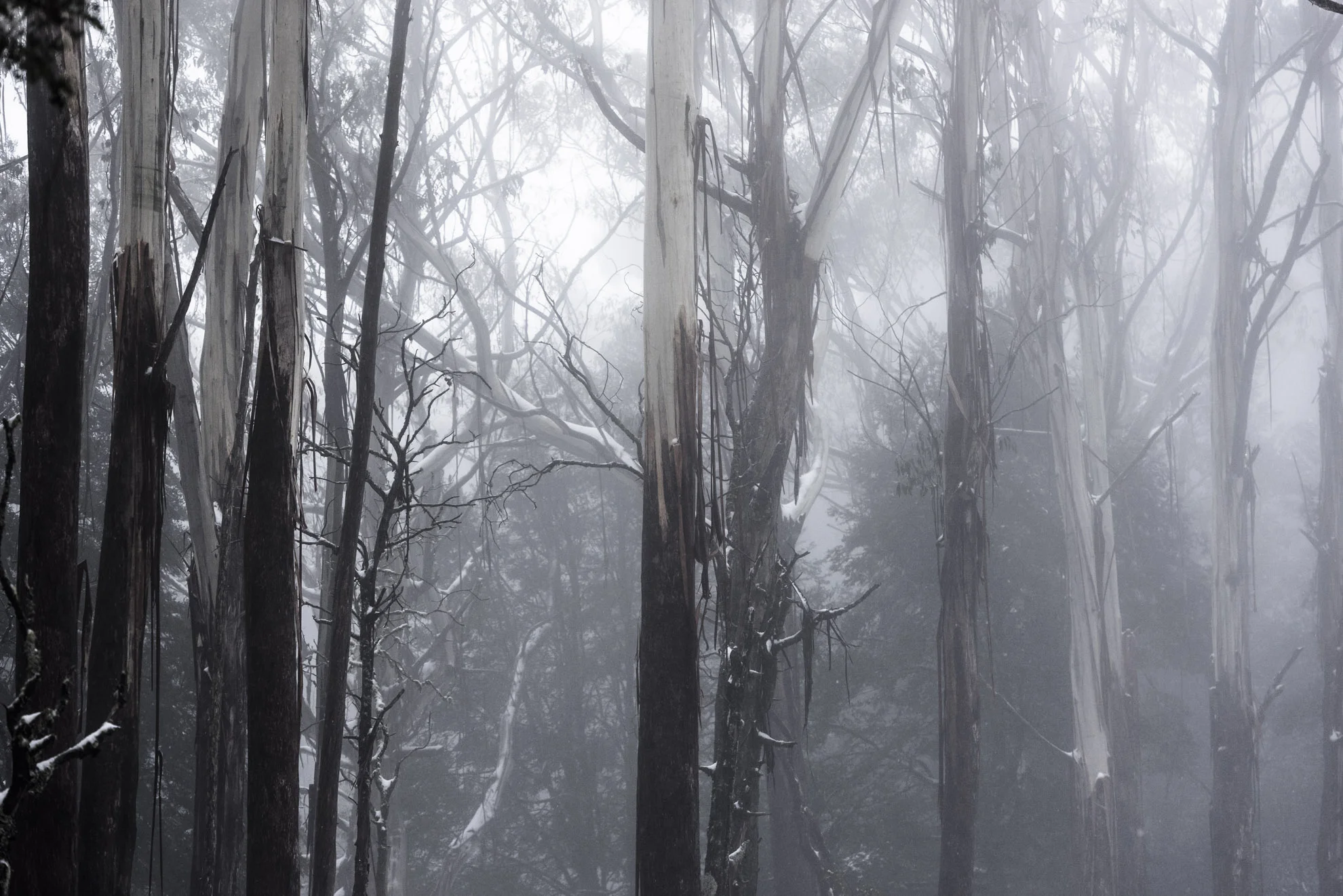 20150806_School_Web Design_Project 2_0007.jpg