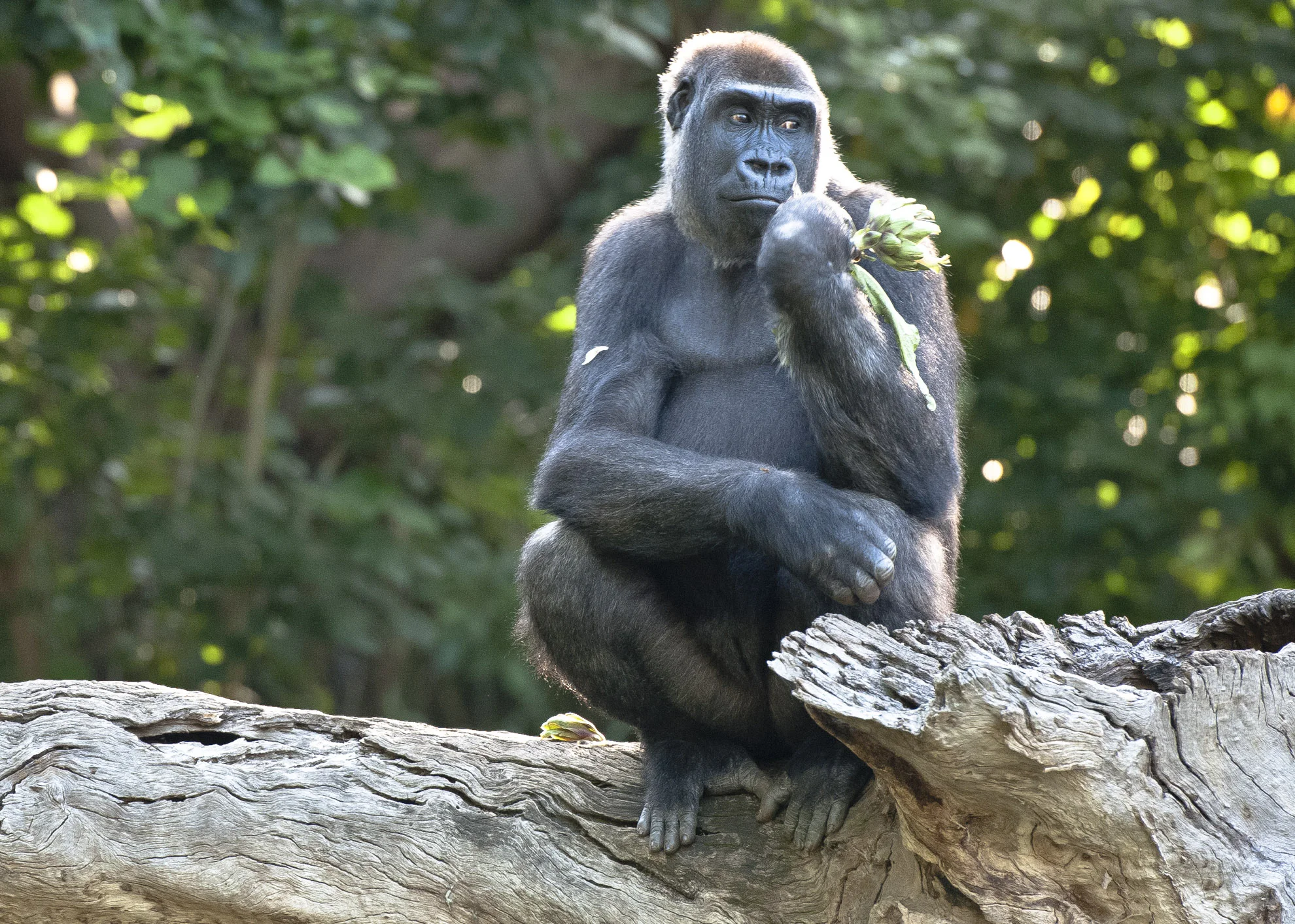 20140301_School_Web Design_Project 2_0055.jpg