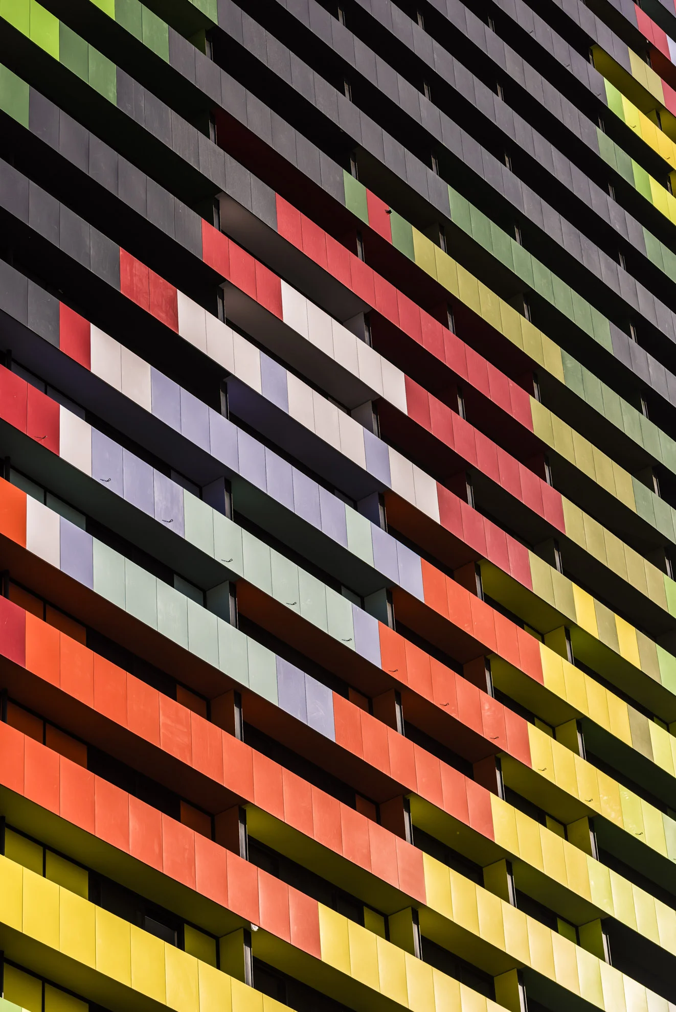 20150828_School_Web Design_Project 2_0011.jpg