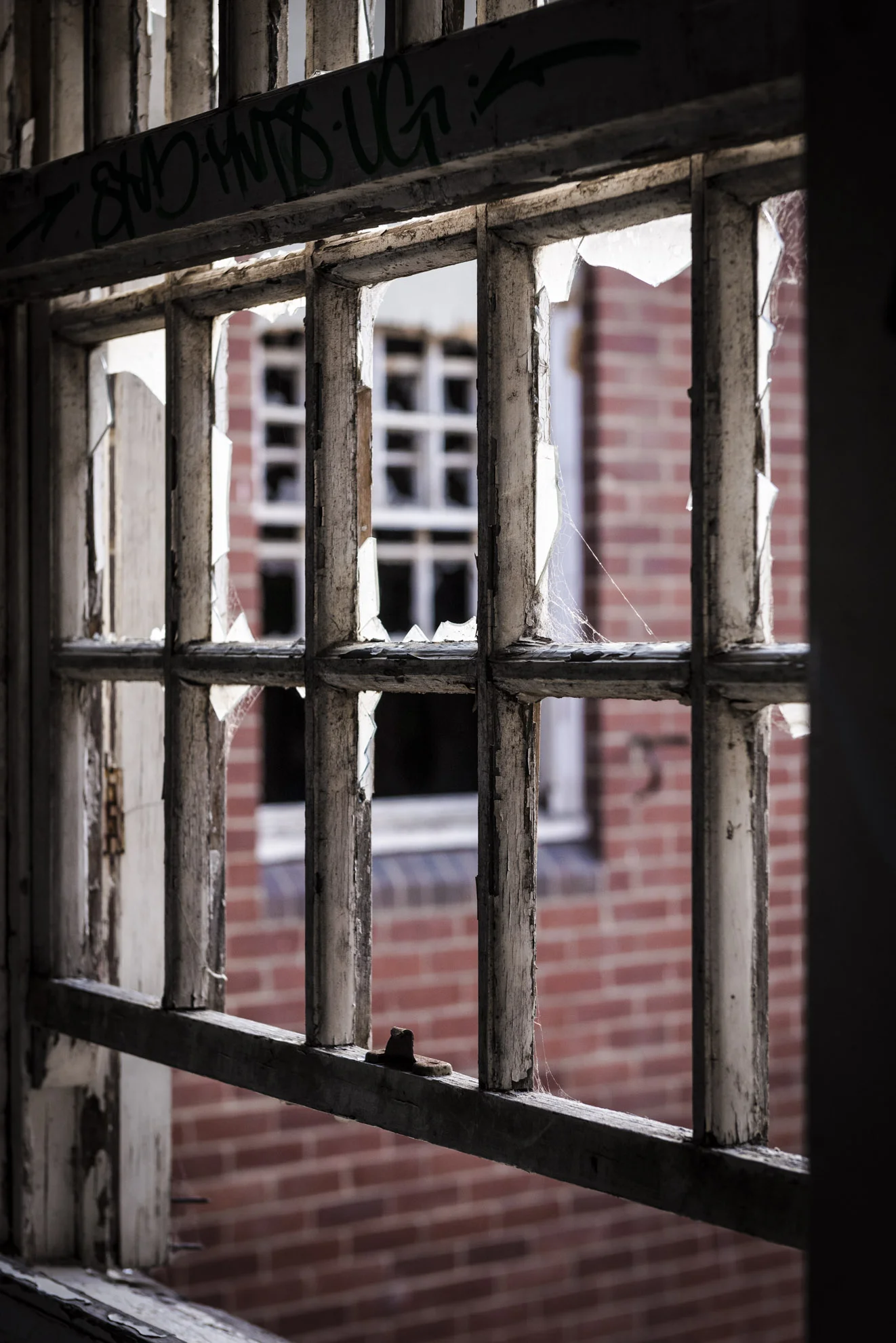 20151005_School_Web Design_Project 2_0031.jpg