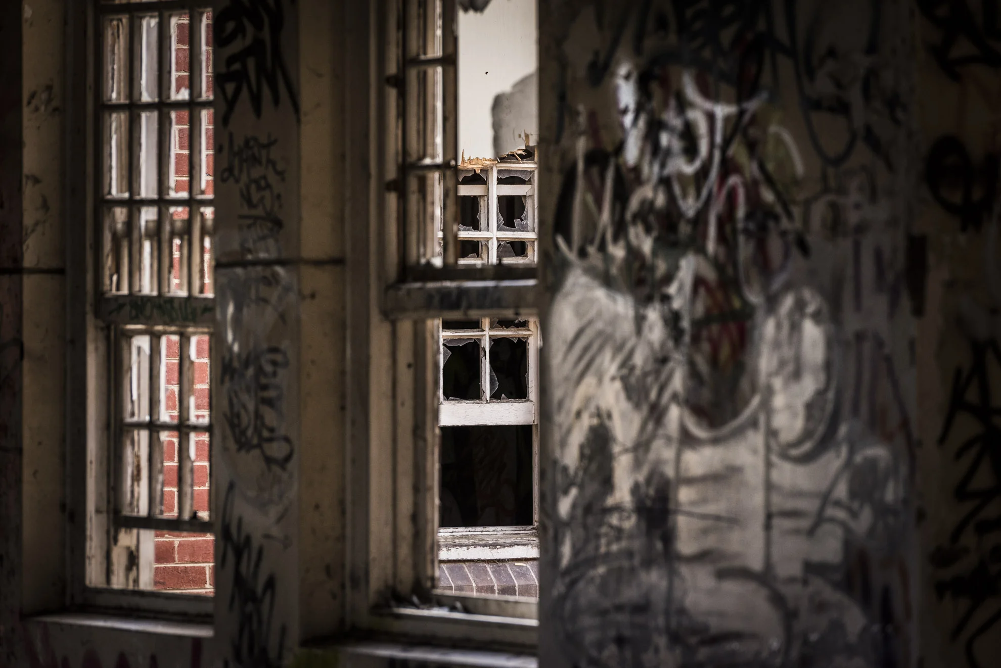 20151005_School_Web Design_Project 2_0033.jpg