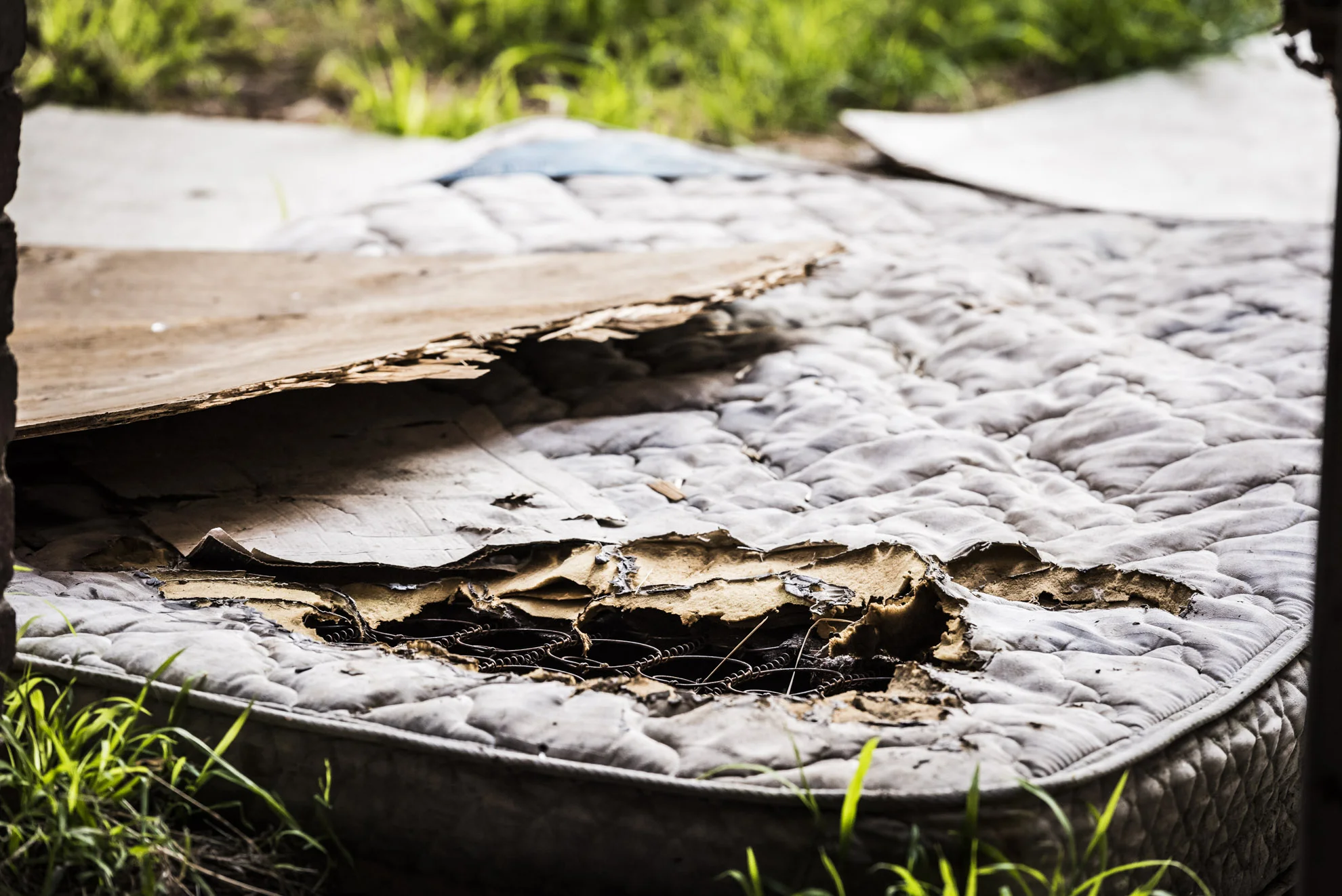 20151005_School_Web Design_Project 2_0034.jpg