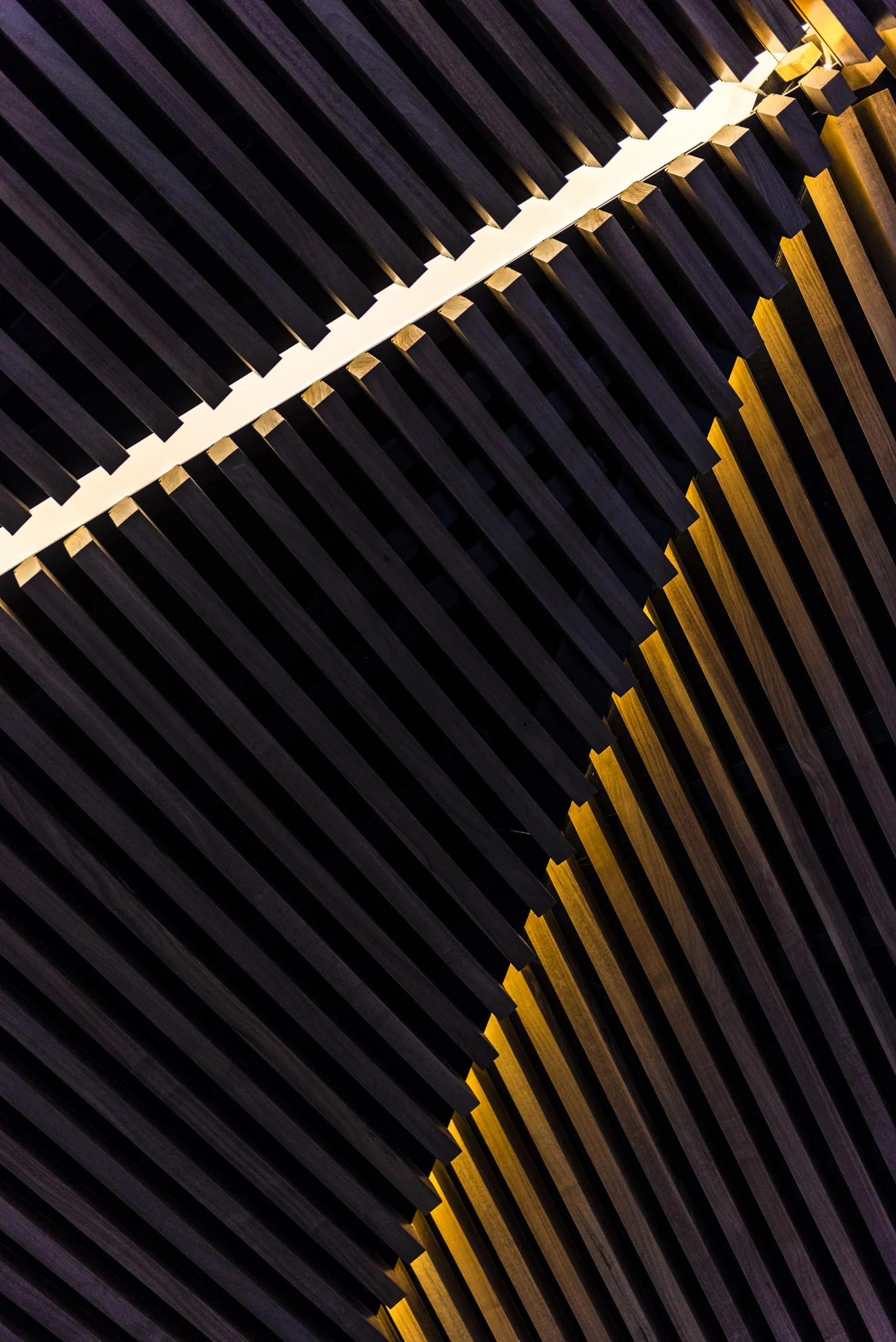 20151201_School_Web Design_Project 2_0042.jpg