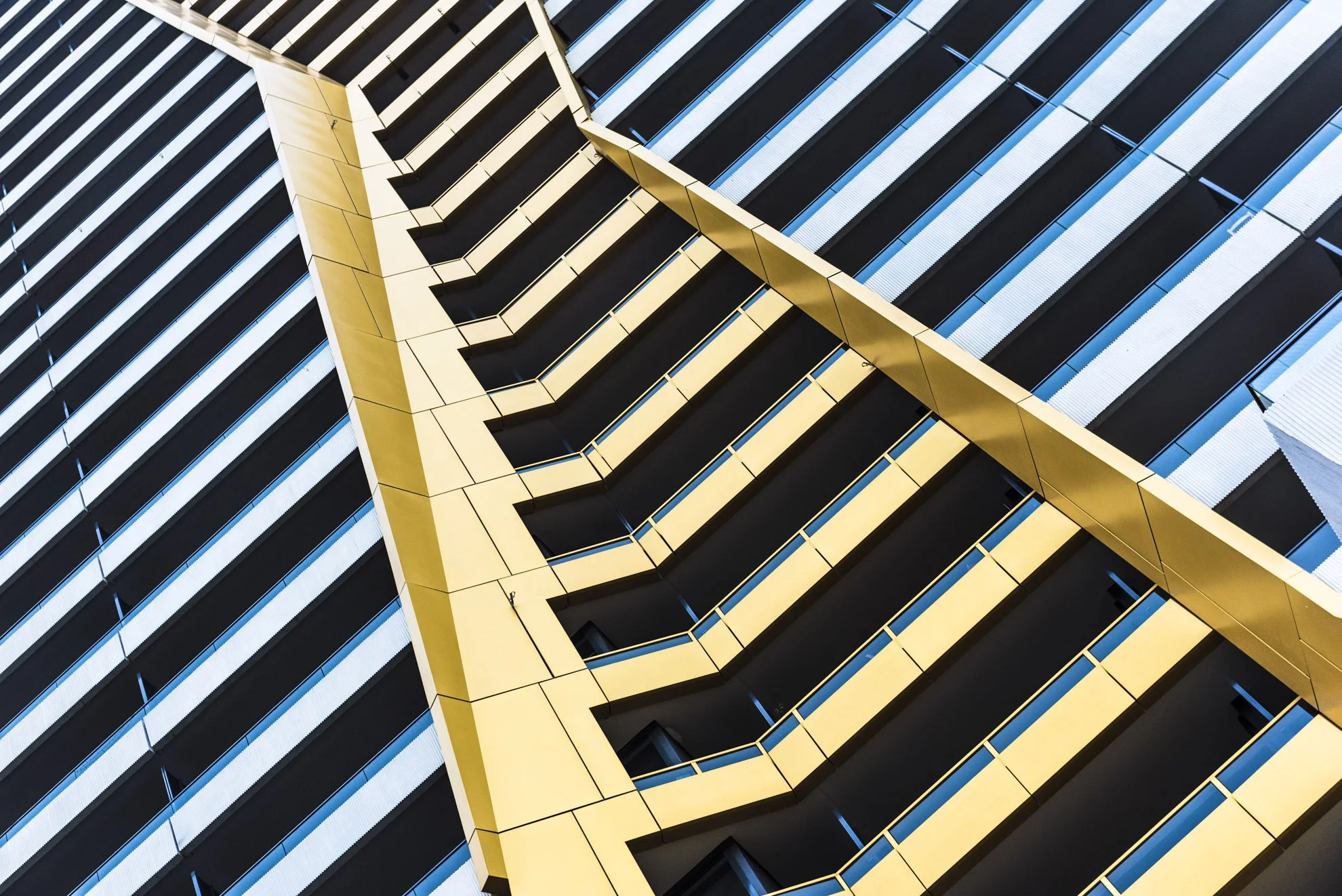 20151201_School_Web Design_Project 2_0041.jpg