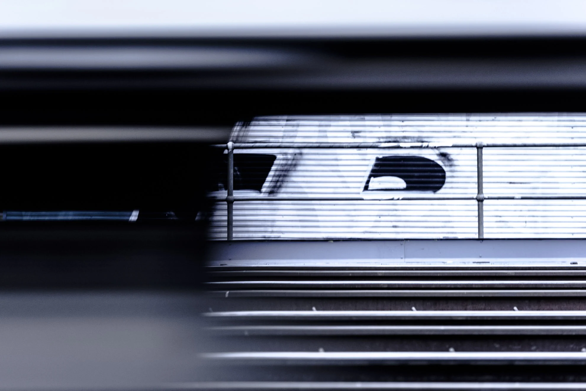 20151201_School_Web Design_Project 2_0045.jpg