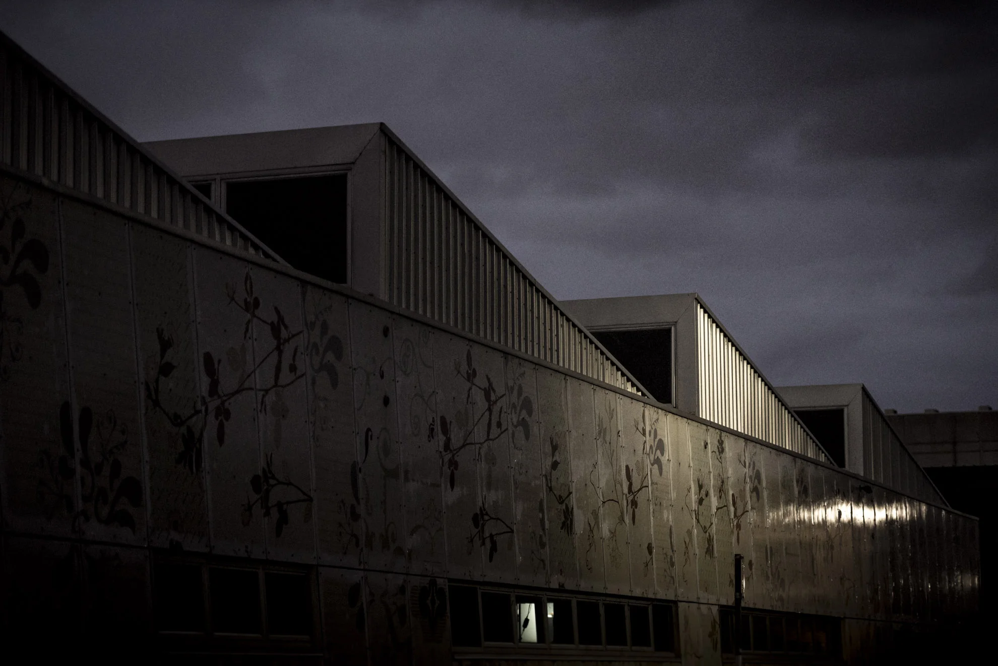 20151201_School_Web Design_Project 2_0050.jpg