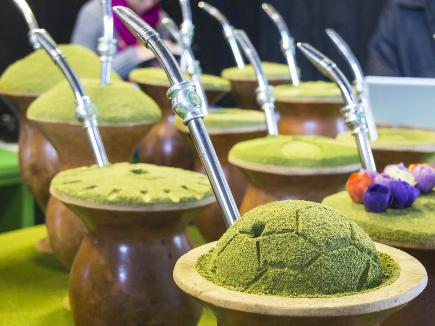 20140617_School_Web Design_Project 2_0190.jpg