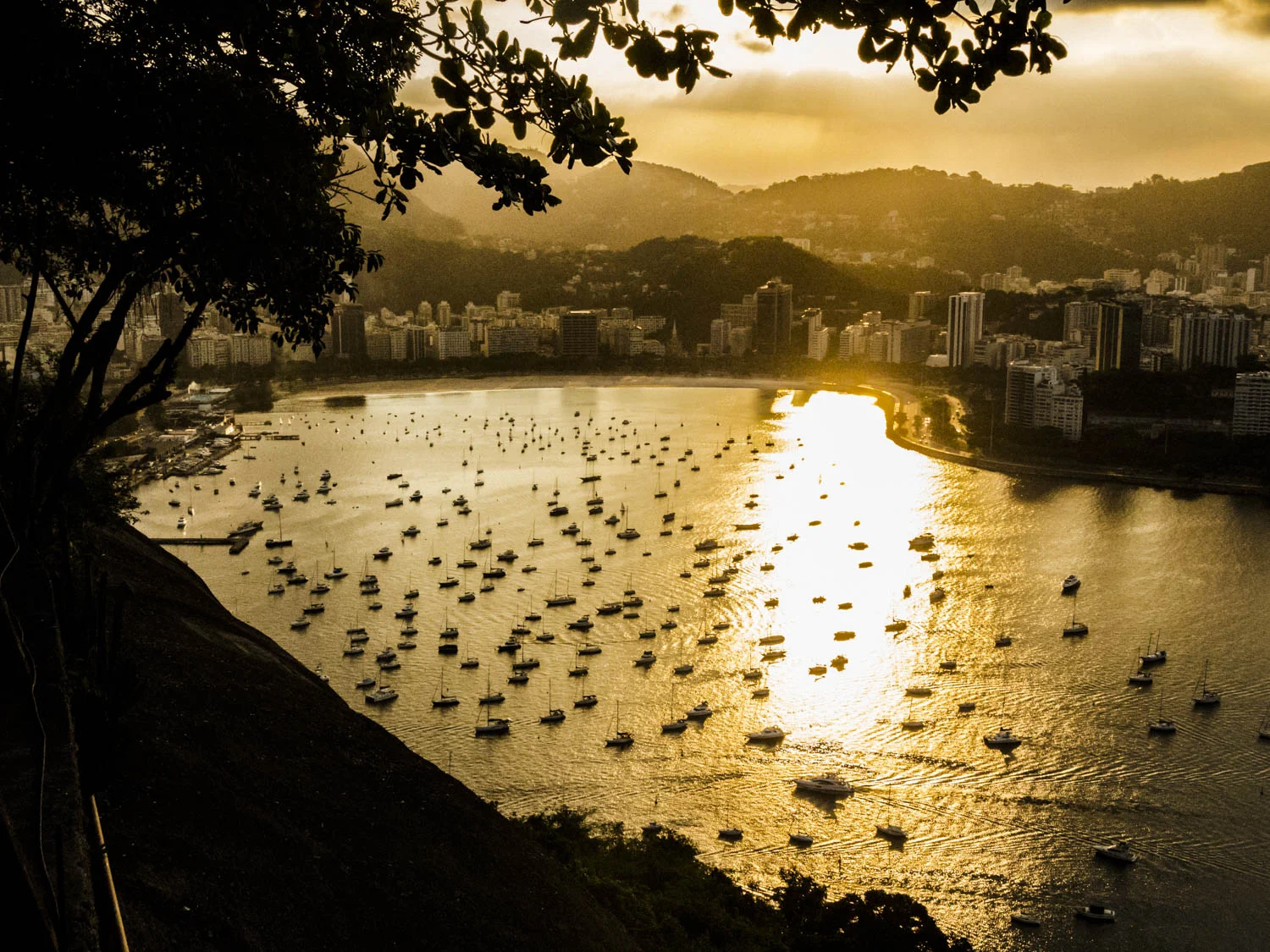 20140621_School_Web Design_Project 2_0210.jpg