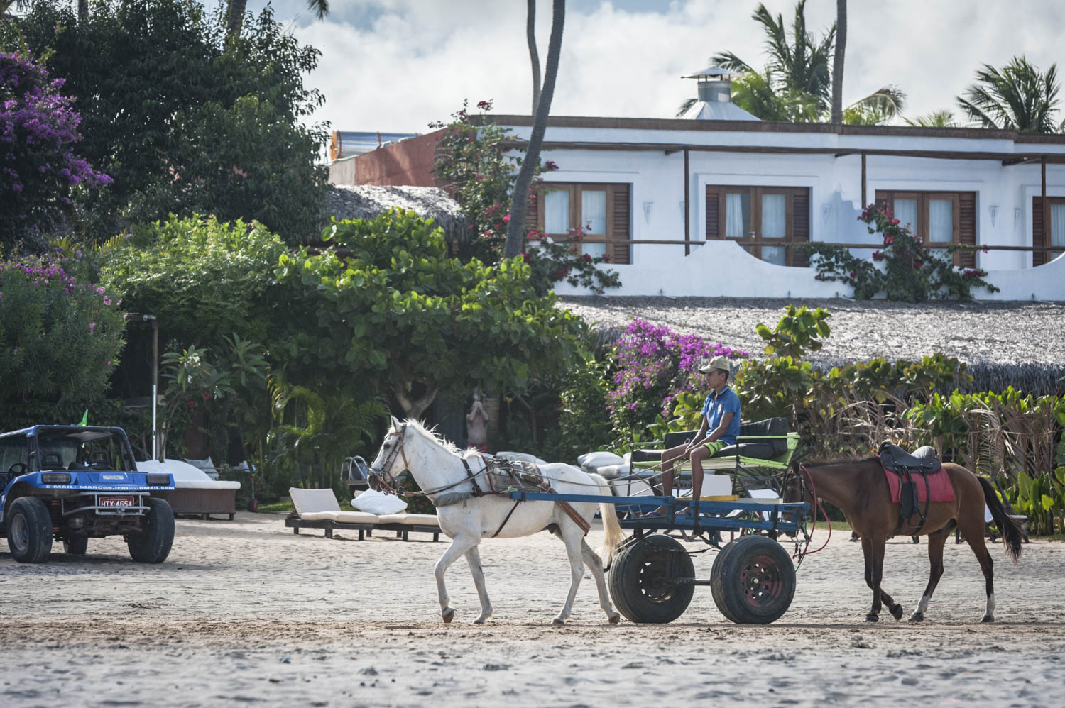 20140702_School_Web Design_Project 2_0221.jpg