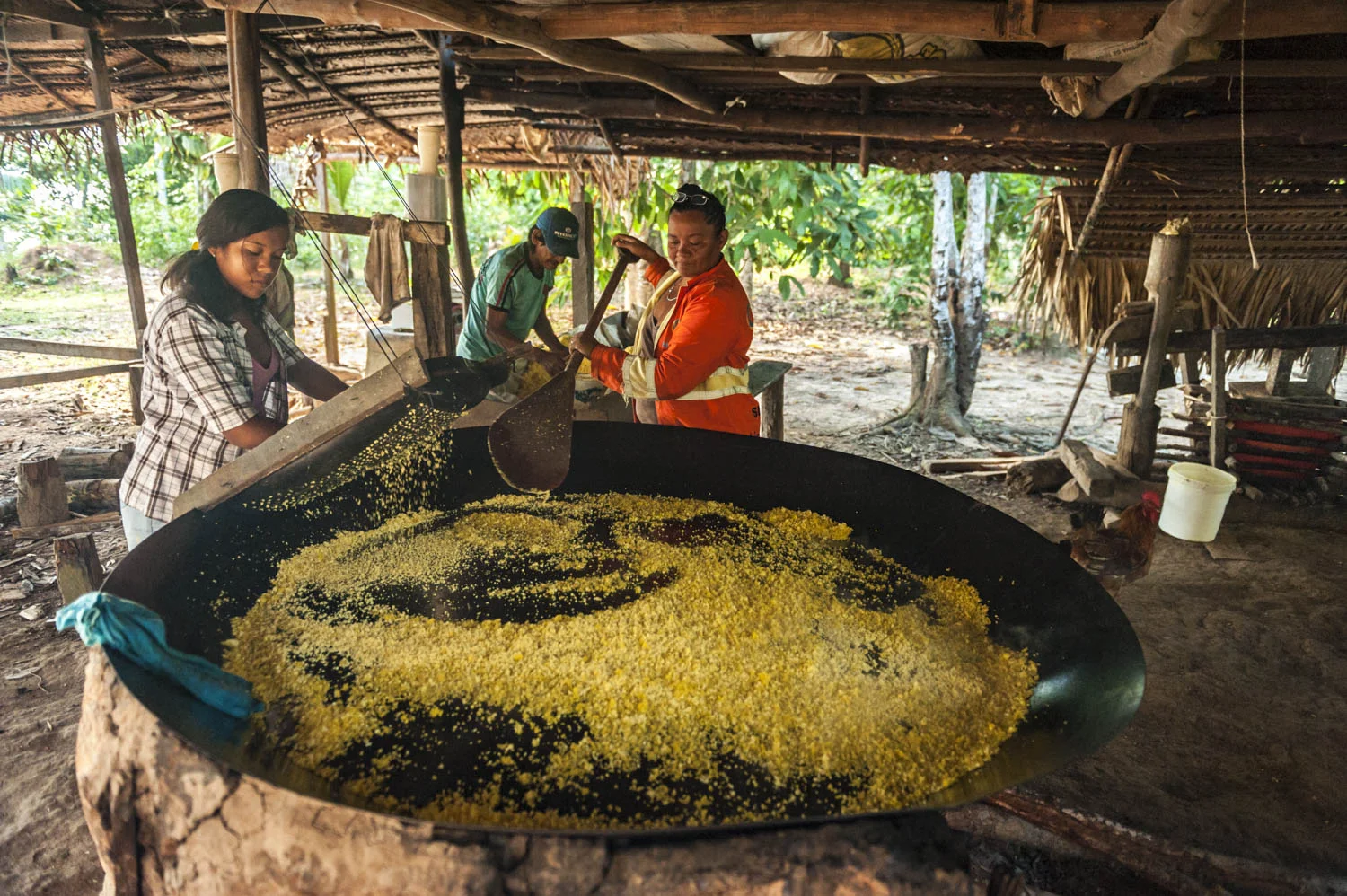 20140708_School_Web Design_Project 2_0233.jpg