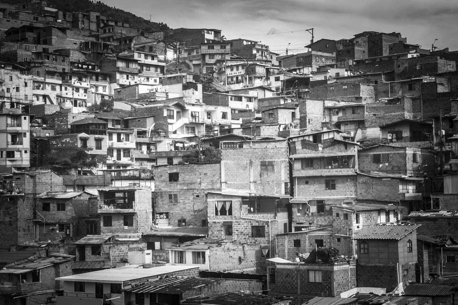 20140718_School_Web Design_Project 2_0255.jpg