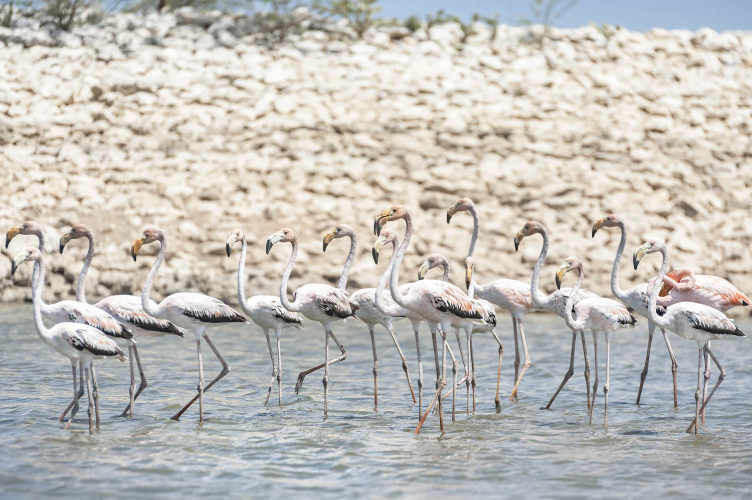 20140727_School_Web Design_Project 2_0267.jpg