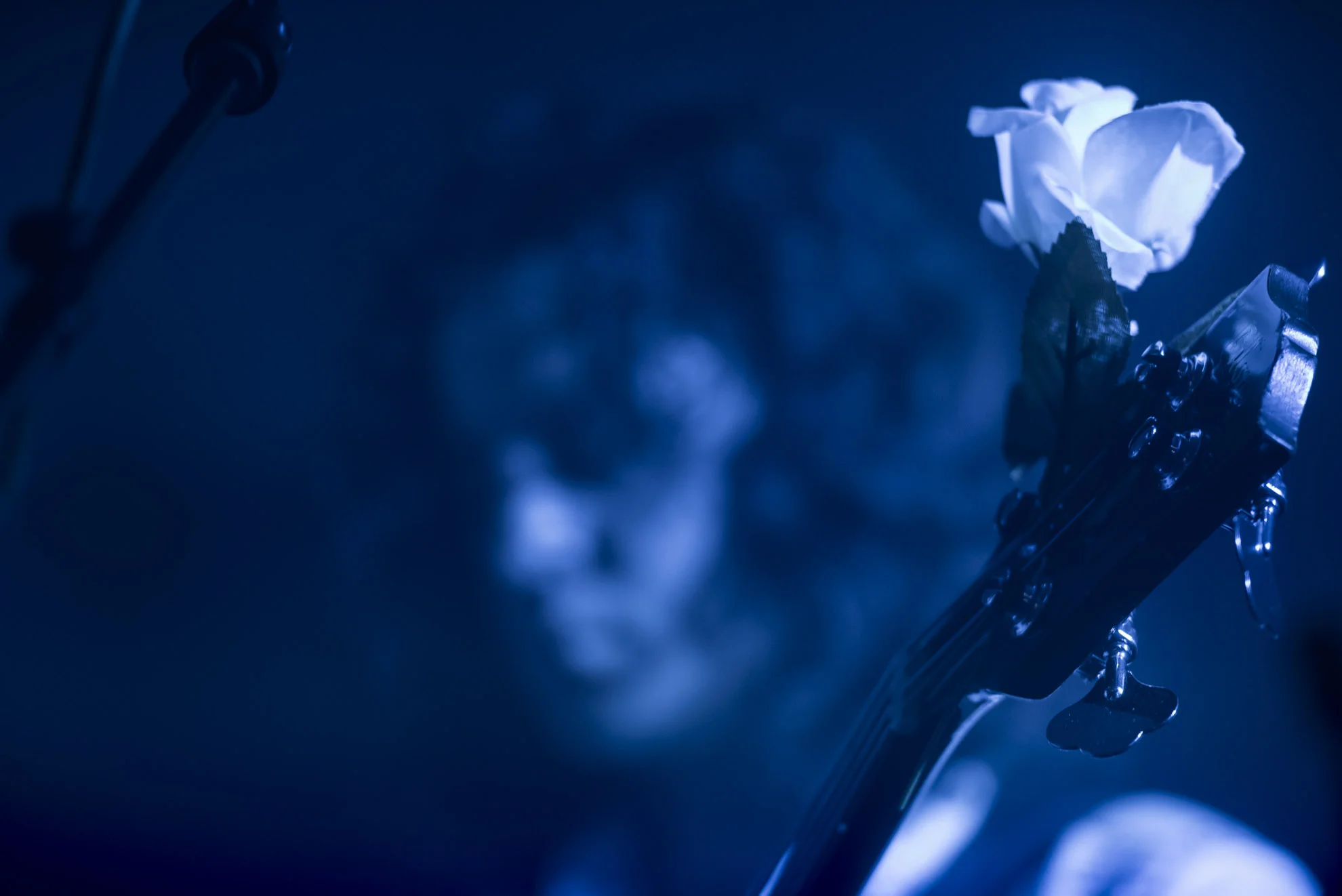 20150919_School_Web Design_Project 2_0078.jpg