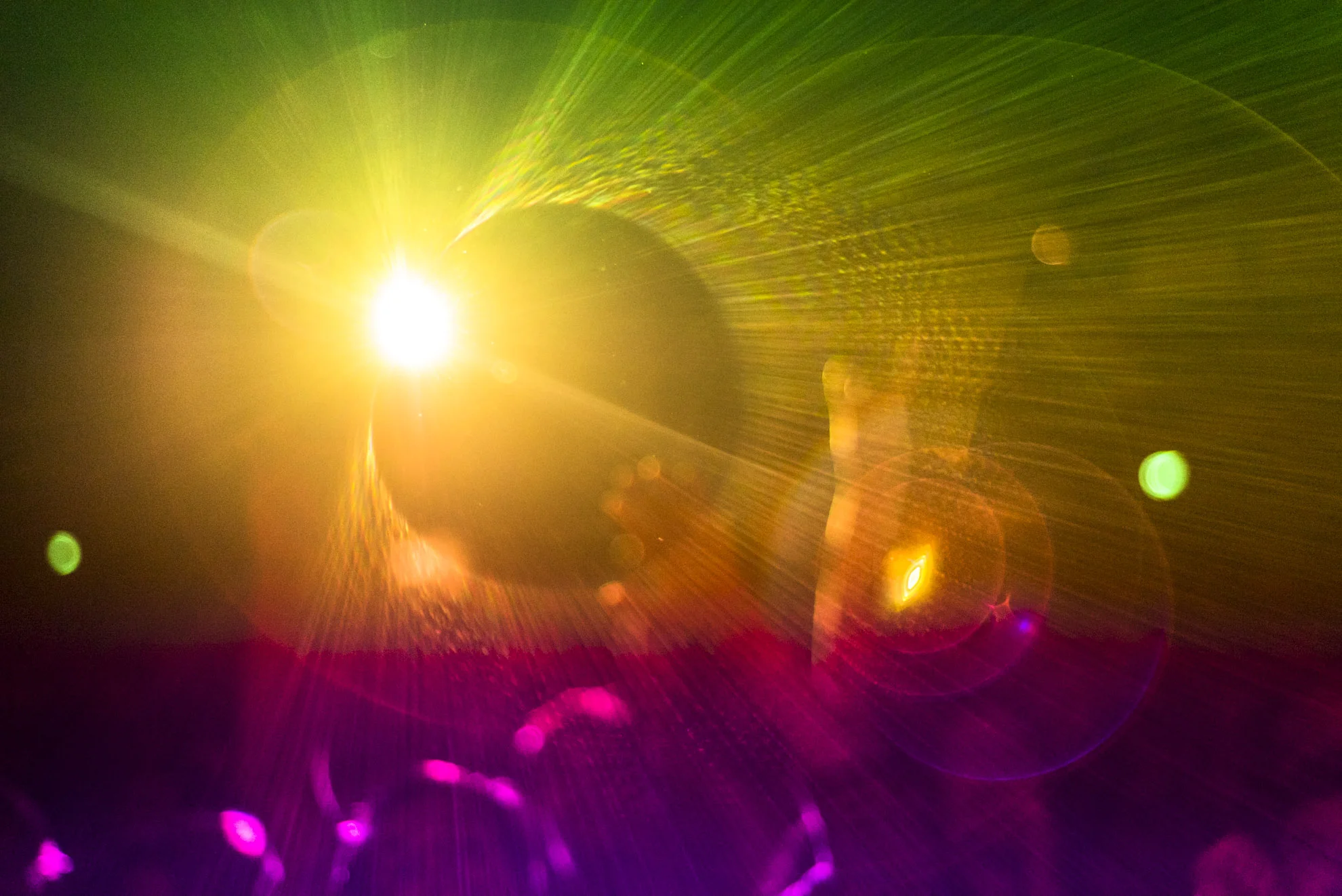 20151204_School_Web Design_Project 2_0112.jpg