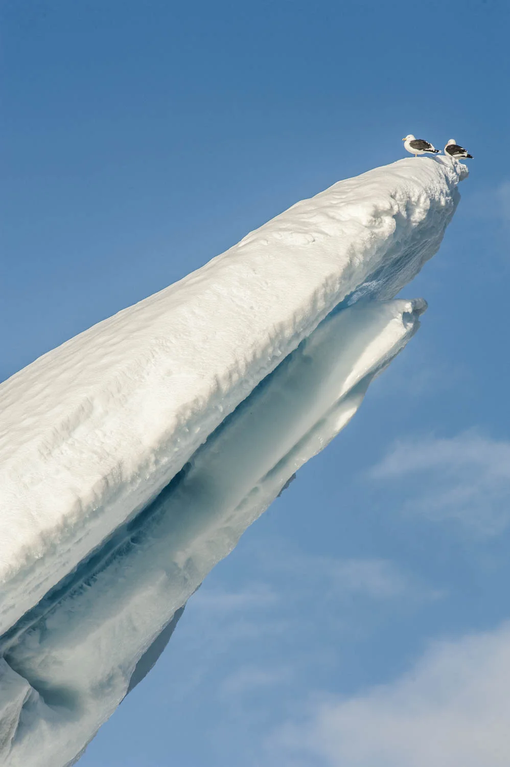 20140327_School_Web Design_Project 2_0044.jpg