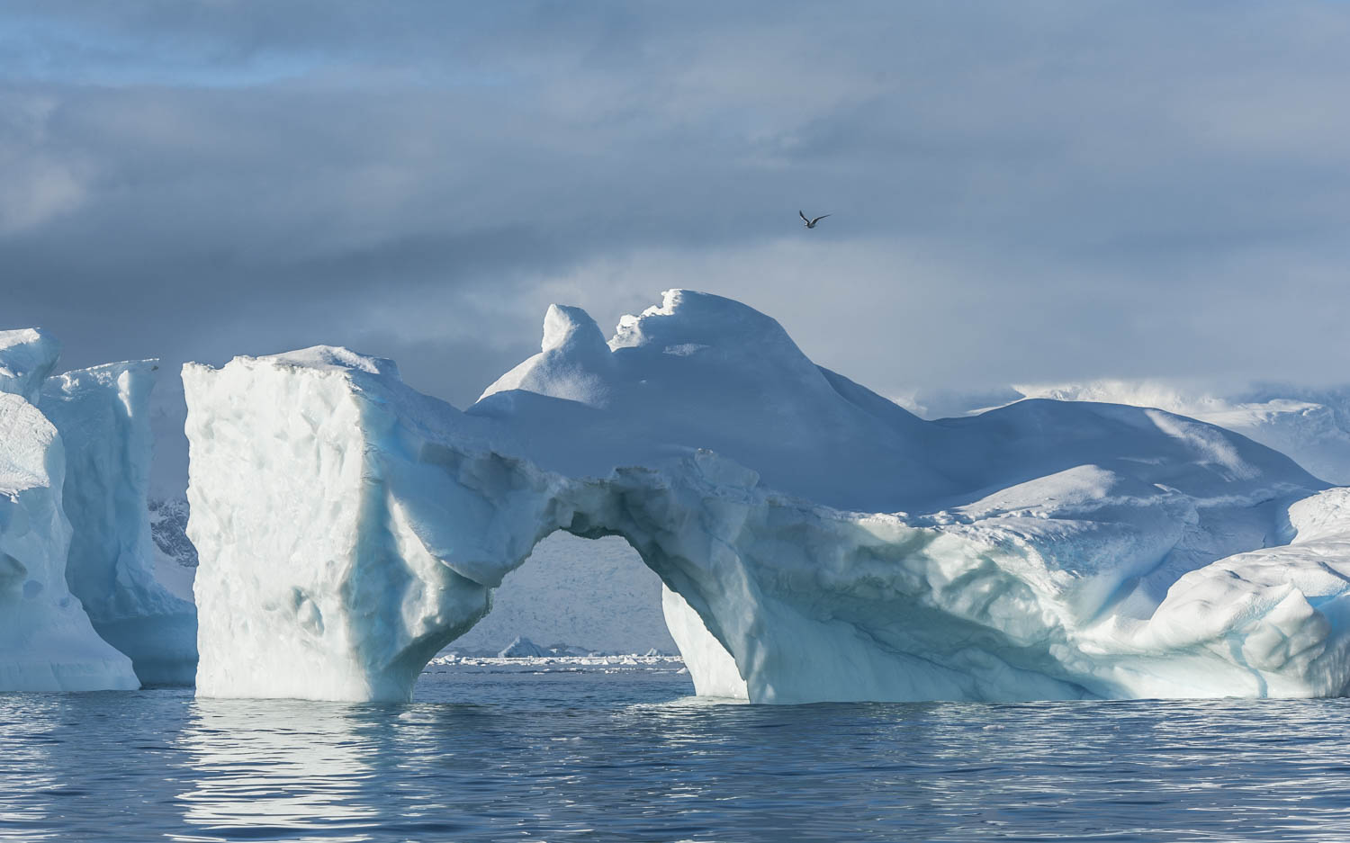 20140327_School_Web Design_Project 2_0046.jpg