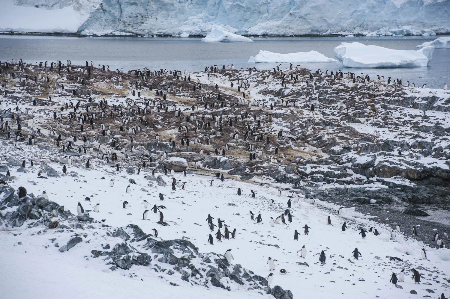 20140327_School_Web Design_Project 2_0052.jpg