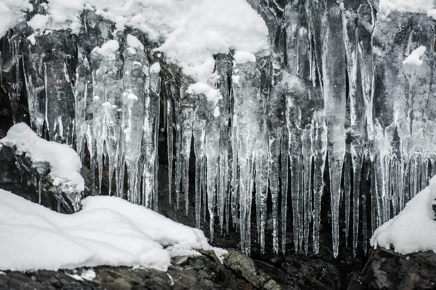 20140329_School_Web Design_Project 2_0057.jpg