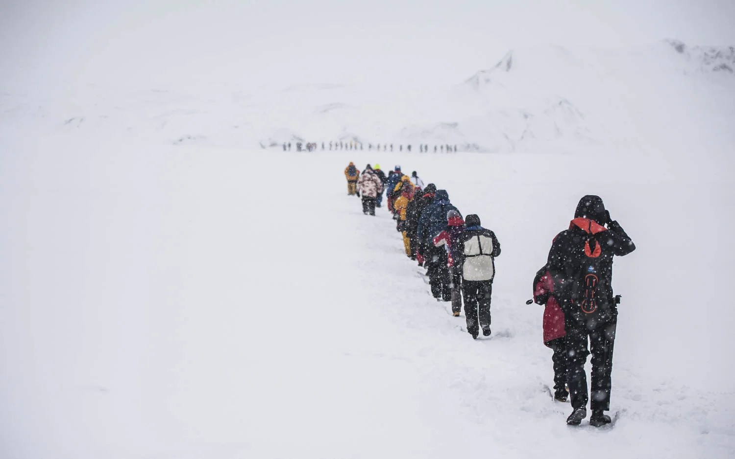 20140330_School_Web Design_Project 2_0060.jpg