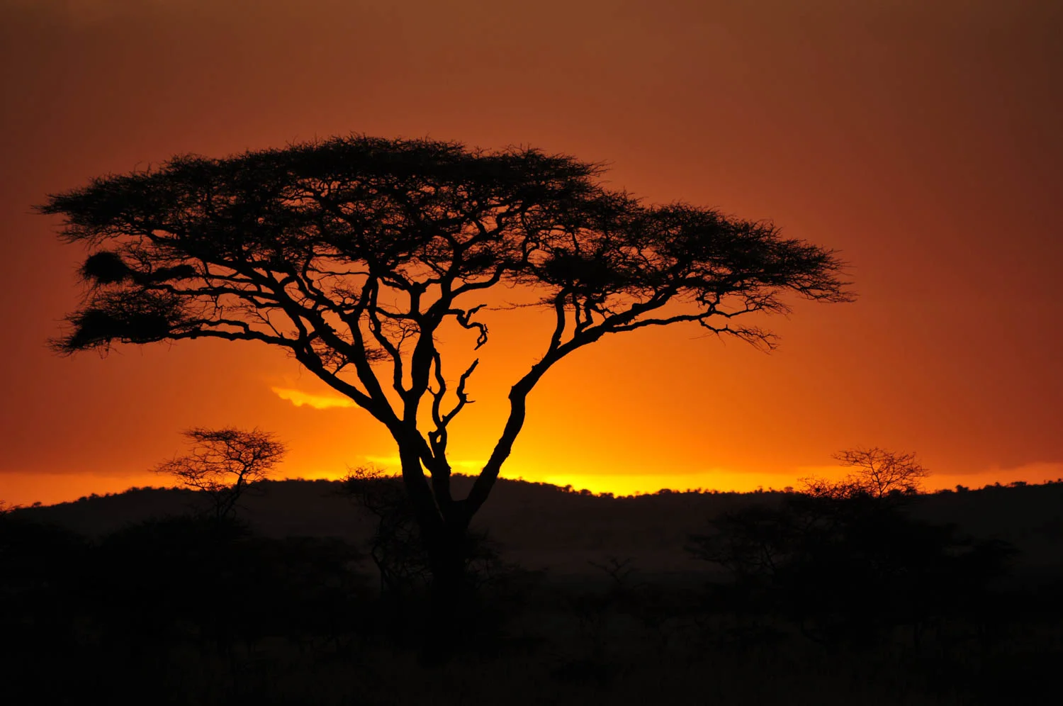 20110606_School_Web Design_Project 2_0006.jpg