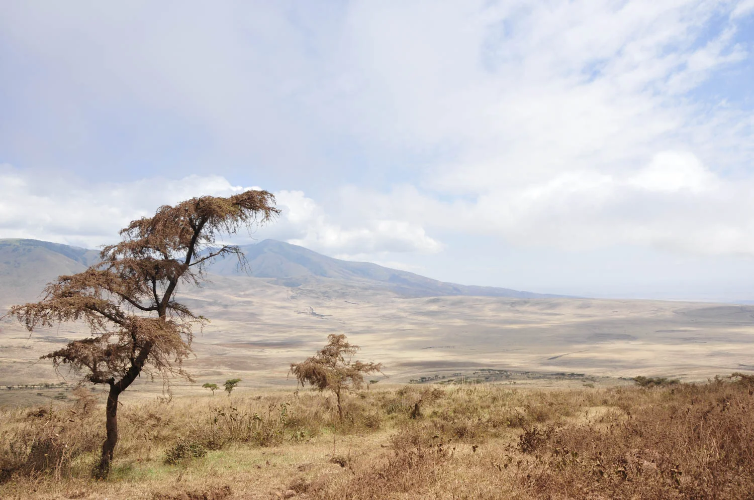 20110605_School_Web Design_Project 2_0002.jpg