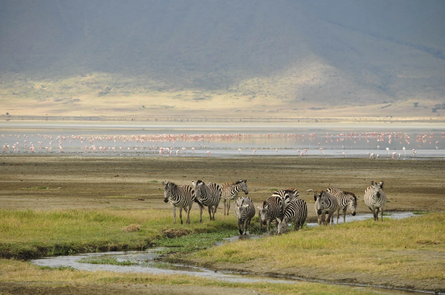 20110608_School_Web Design_Project 2_0007.jpg