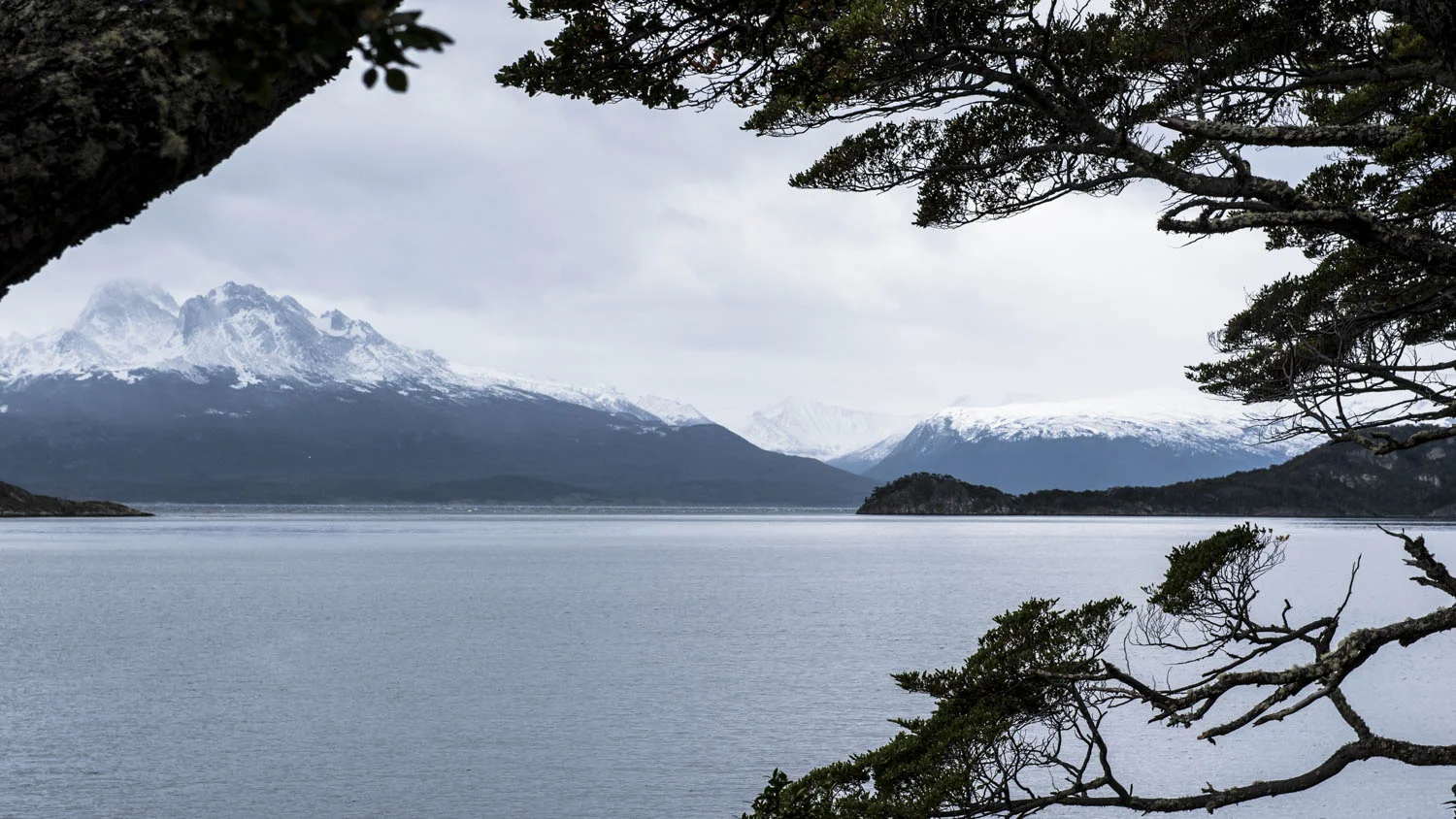 20140323_School_Web Design_Project 2_0034.jpg