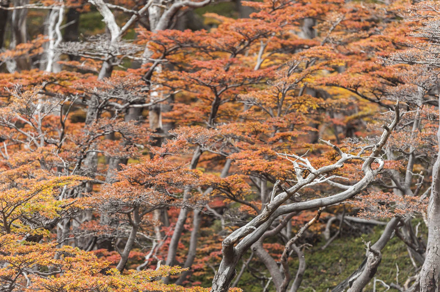 20140410_School_Web Design_Project 2_0068.jpg