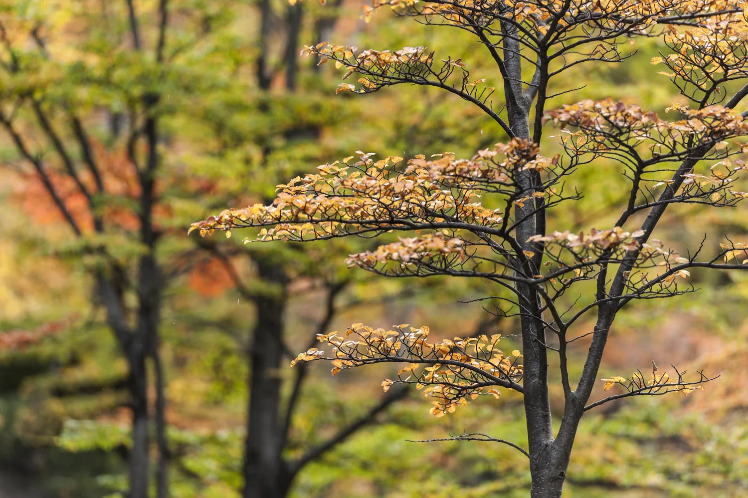 20140410_School_Web Design_Project 2_0067.jpg